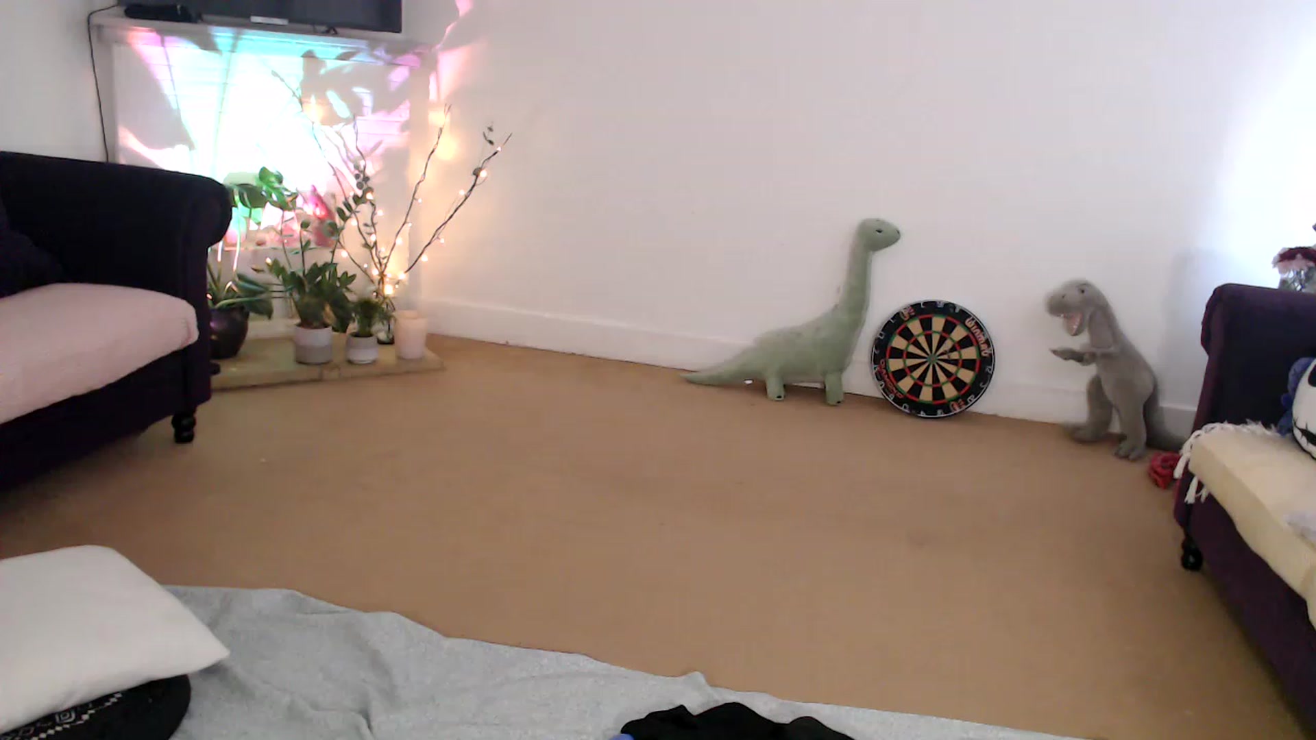 Gallery image thumbnail from DaisyChainedX's myfreecams stream on, 01/18/2023, 14:28 image 7 of 20
