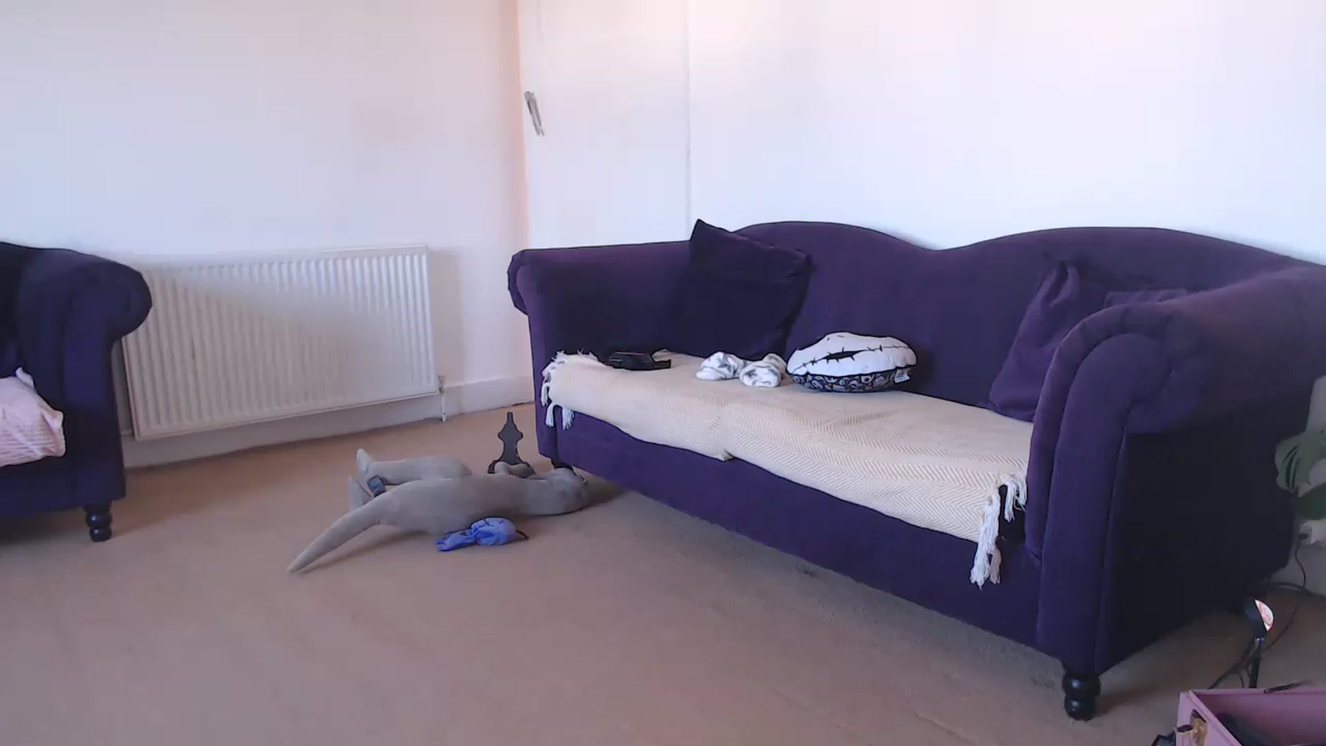 Gallery image thumbnail from DaisyChainedX's myfreecams stream on, 01/20/2023, 15:57 image 10 of 20