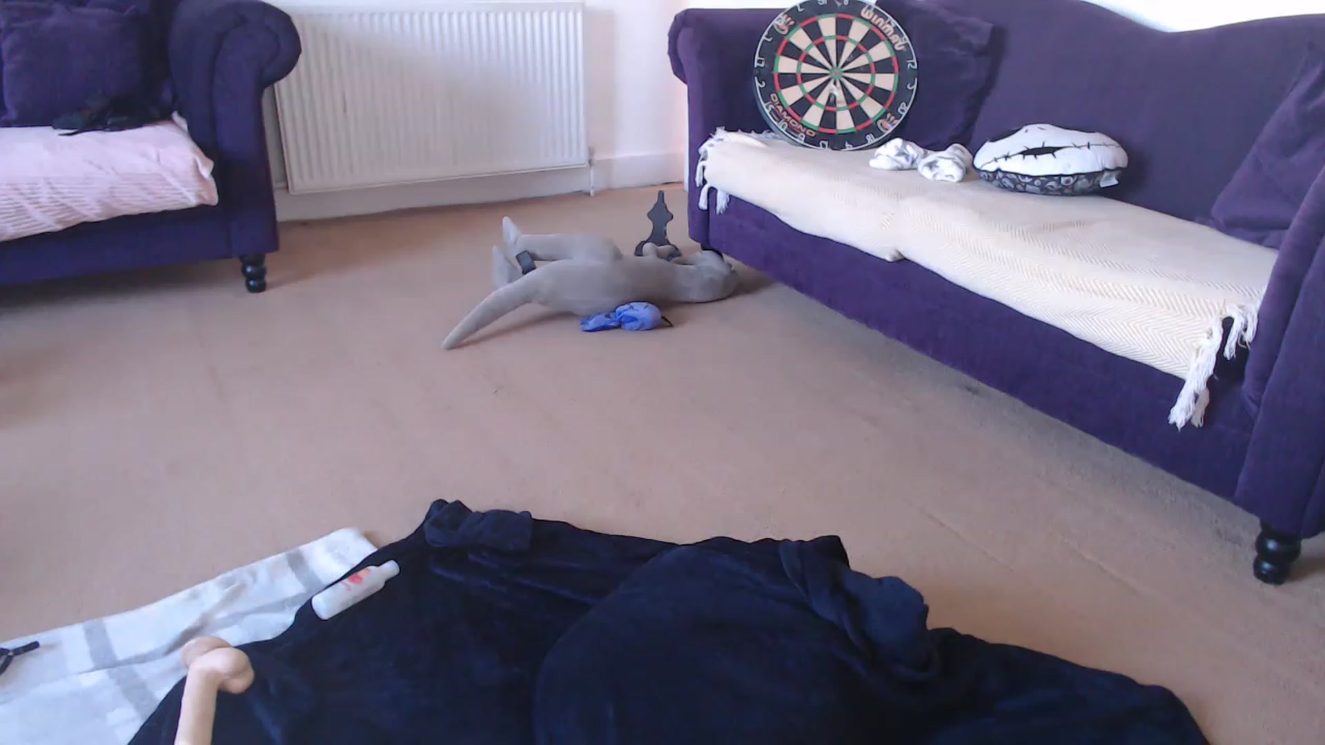 Gallery image thumbnail from DaisyChainedX's myfreecams stream on, 01/20/2023, 15:57 image 16 of 20