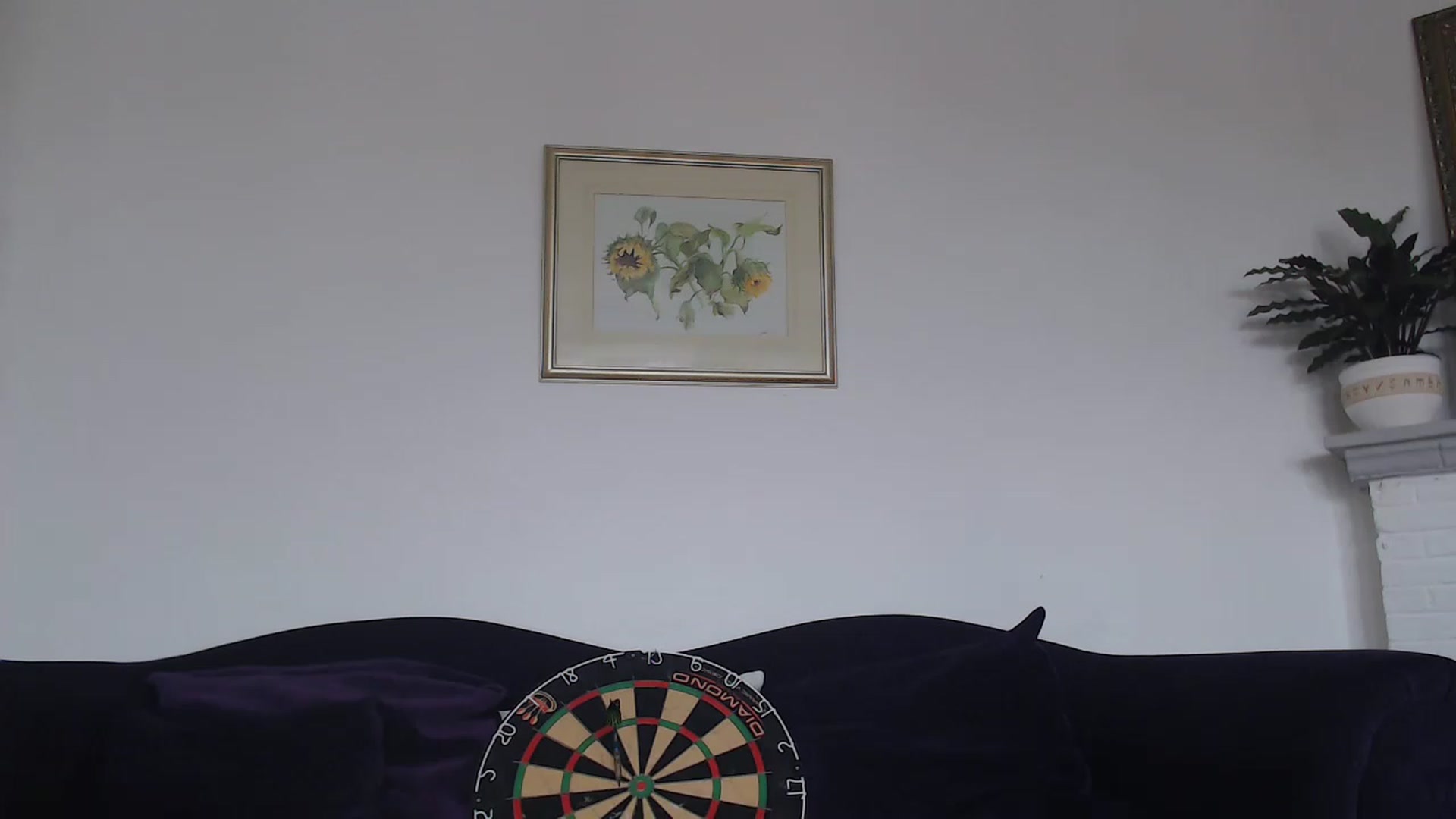 Gallery image thumbnail from DaisyChainedX's myfreecams stream on, 05/05/2023, 13:09 image 13 of 20