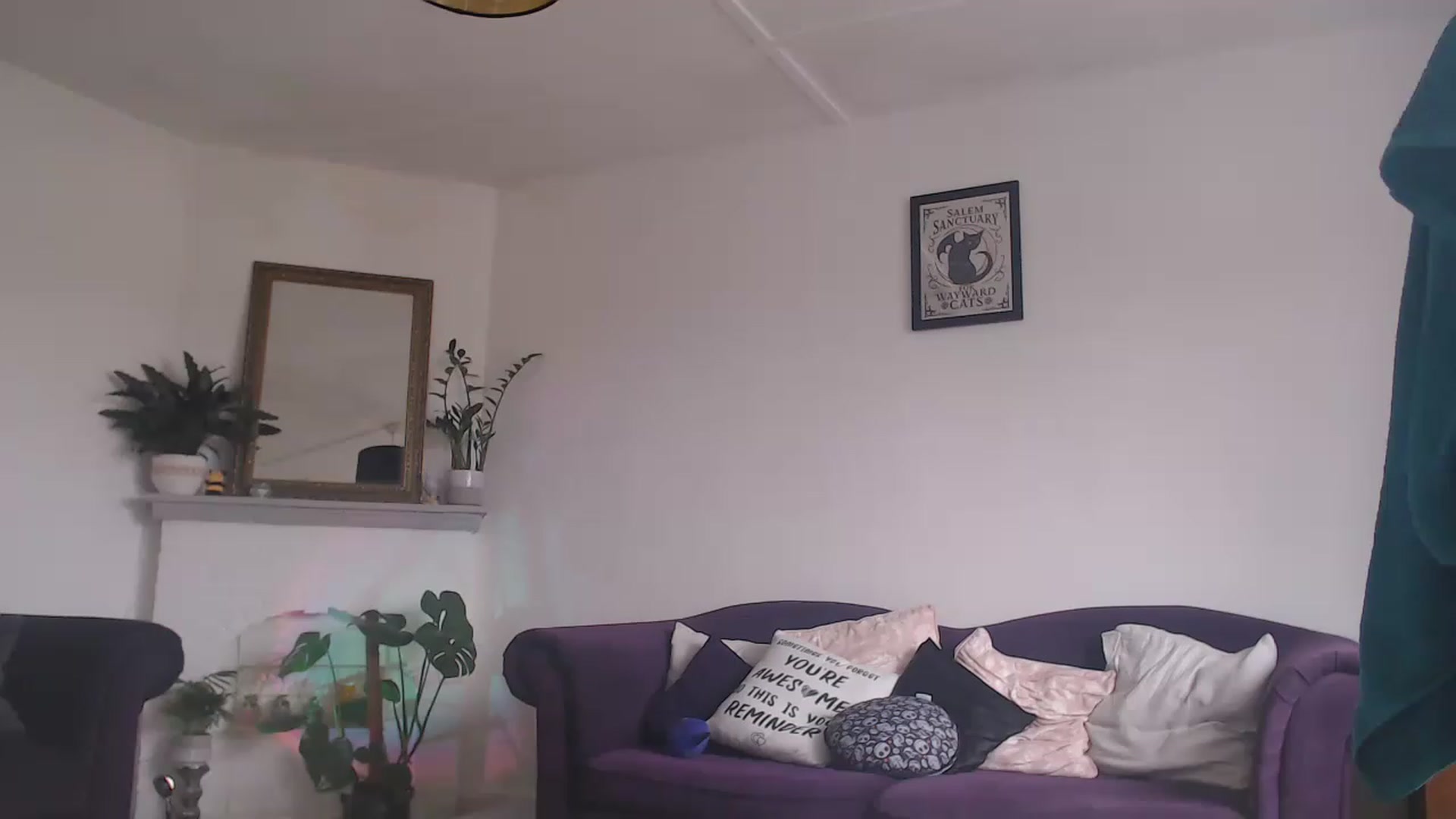 Gallery image thumbnail from DaisyChainedX's myfreecams stream on, 06/18/2023, 14:28 image 12 of 20