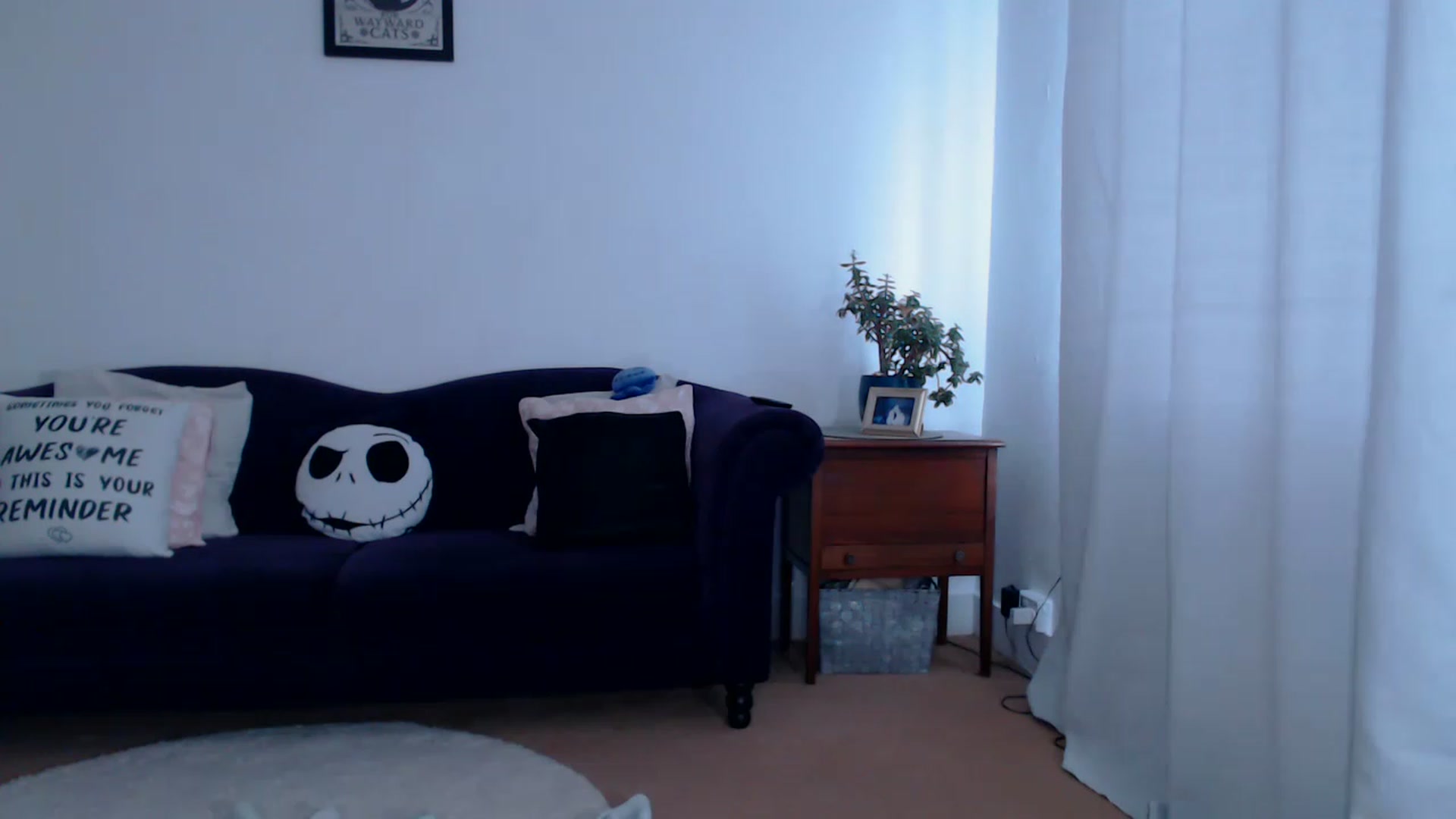 Gallery image thumbnail from DaisyChainedX's myfreecams stream on, 06/29/2023, 14:39 image 16 of 20