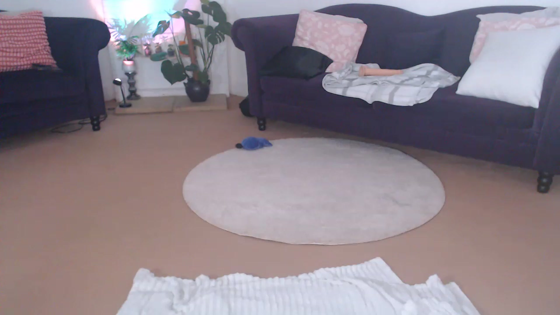 Gallery image thumbnail from DaisyChainedX's myfreecams stream on, 07/04/2023, 14:58 image 20 of 20