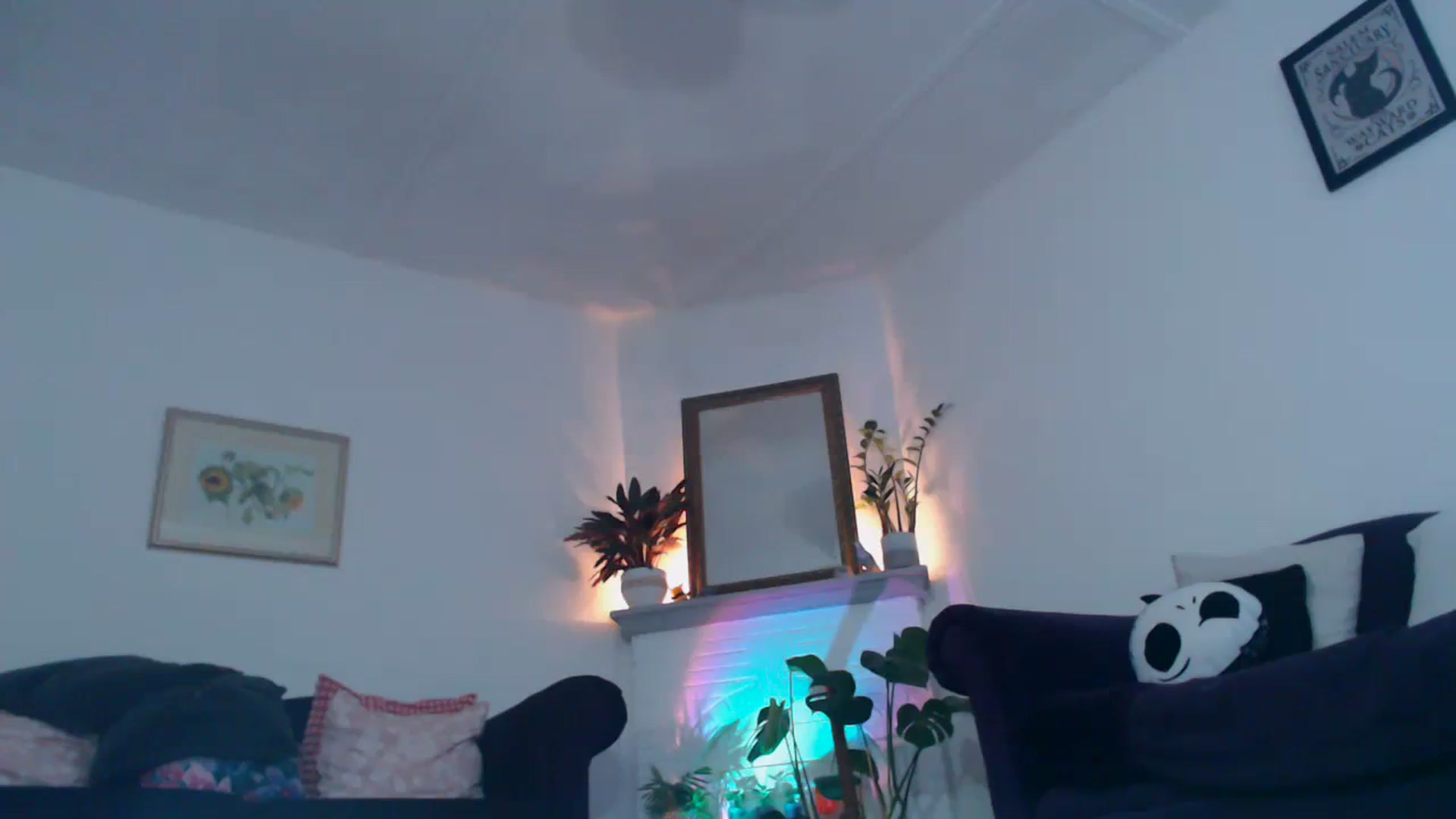 Gallery image thumbnail from DaisyChainedX's myfreecams stream on, 08/11/2023, 20:20 image 2 of 20
