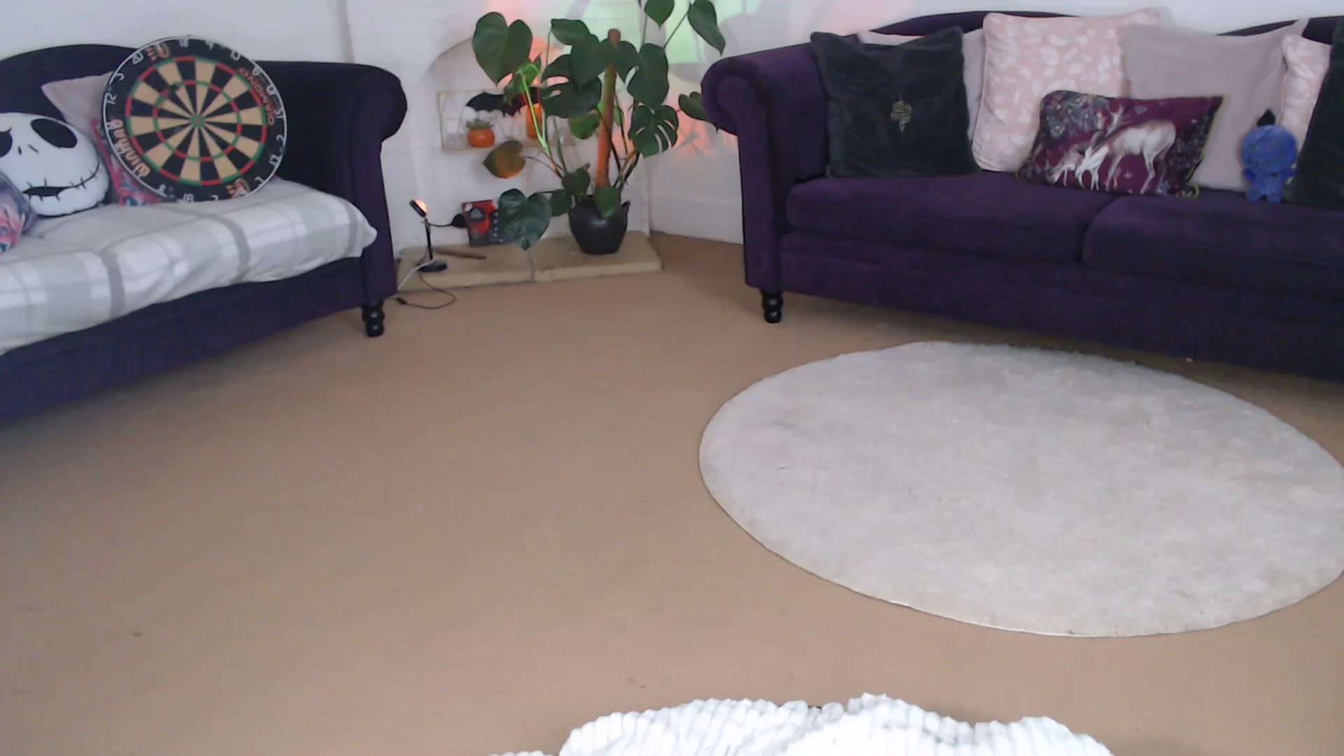 Gallery image thumbnail from DaisyChainedX's myfreecams stream on, 10/11/2023, 14:49 image 1 of 20