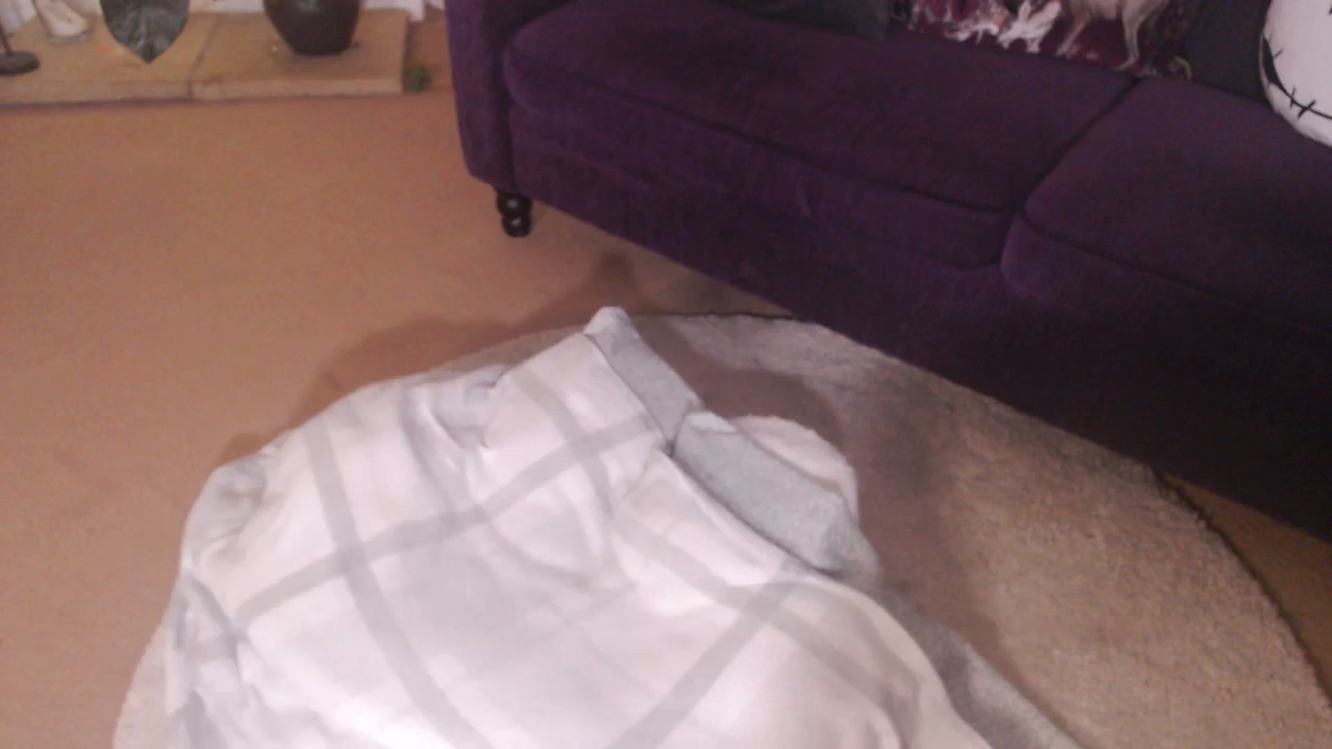 Gallery image thumbnail from DaisyChainedX's myfreecams stream on, 11/09/2023, 16:43 image 20 of 20