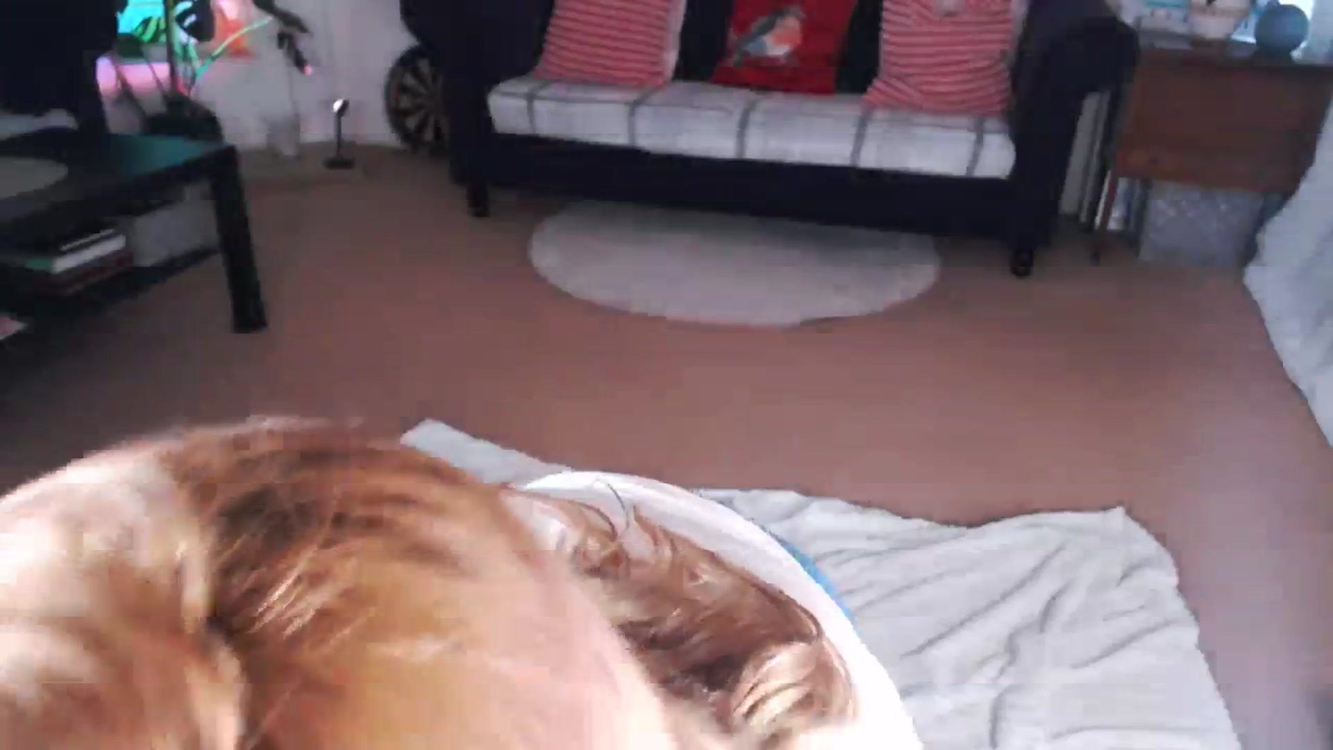 Gallery image thumbnail from DaisyChainedX's myfreecams stream on, 11/17/2023, 15:22 image 12 of 20