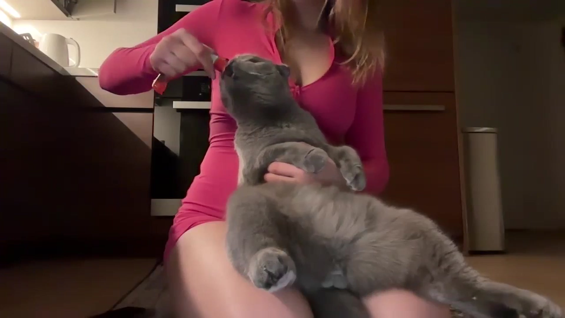 Gallery image thumbnail from Daisy_Flower1's myfreecams stream on, 02/28/2024, 07:57 image 3 of 20