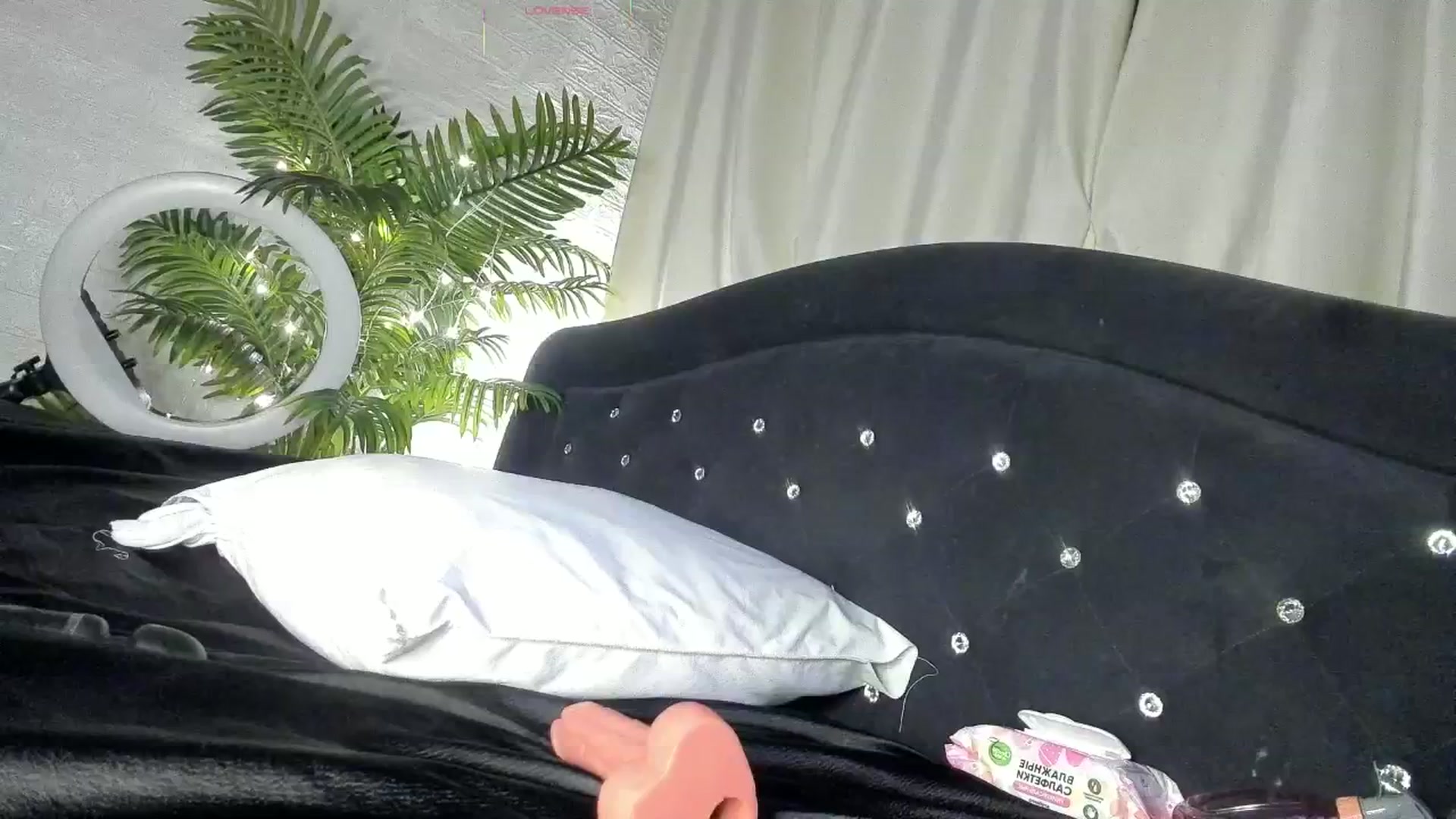 Gallery image thumbnail from Dakota_Blare's myfreecams stream on, 09/23/2025, 24:28 image 10 of 20