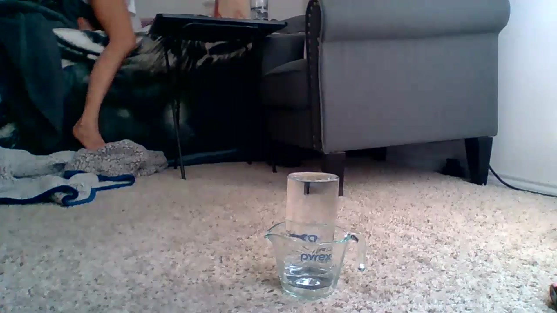 Gallery image thumbnail from Dakotadaniel's myfreecams stream on, 10/08/2024, 02:36 image 13 of 20