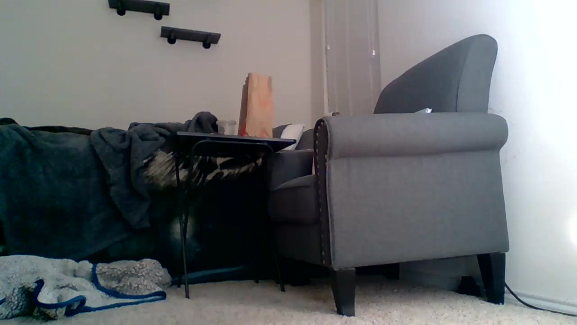 Gallery image thumbnail from Dakotadaniel's myfreecams stream on, 10/08/2024, 02:36 image 11 of 20