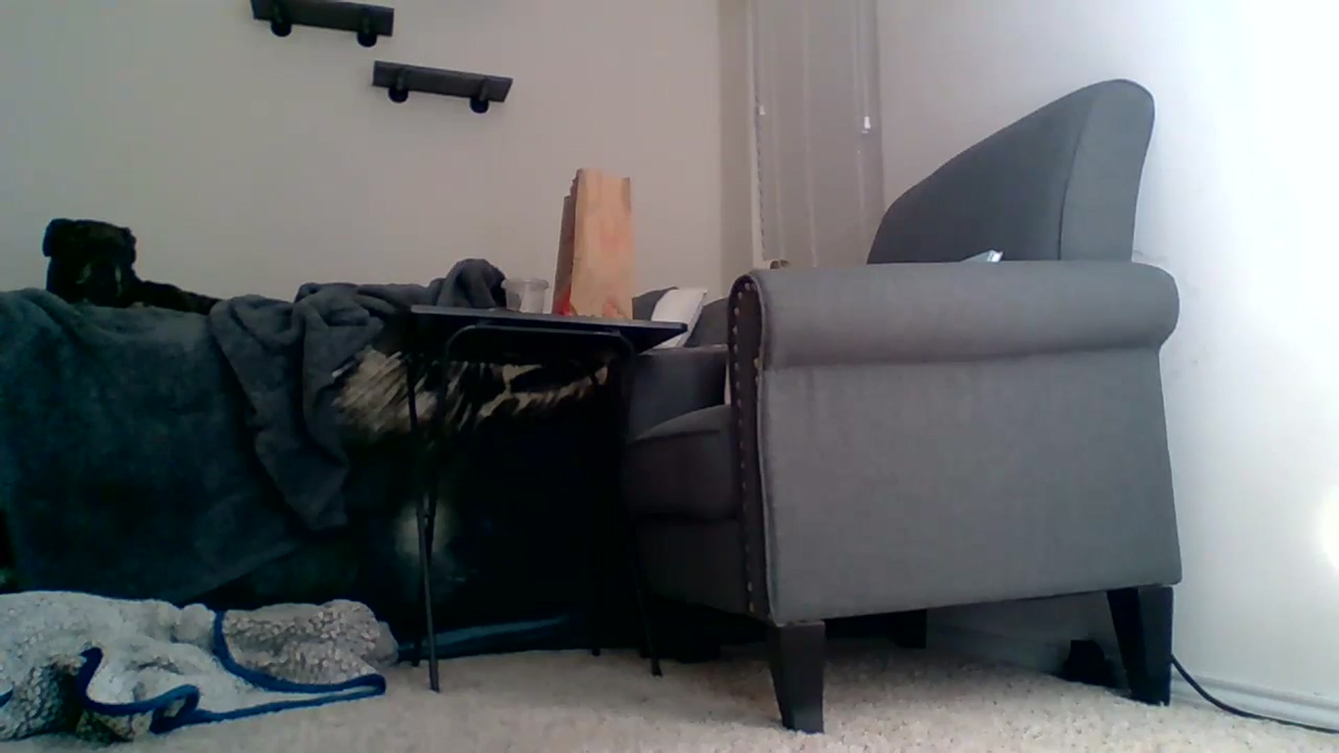 Gallery image thumbnail from Dakotadaniel's myfreecams stream on, 10/08/2024, 02:36 image 10 of 20