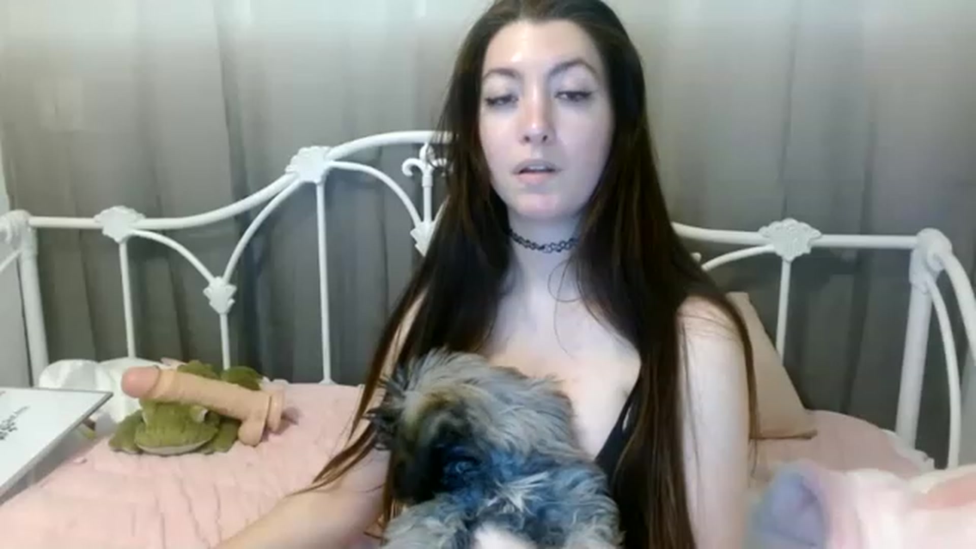 Gallery image thumbnail from DallasOhMy's myfreecams stream on, 12/31/2022, 04:46 image 10 of 20