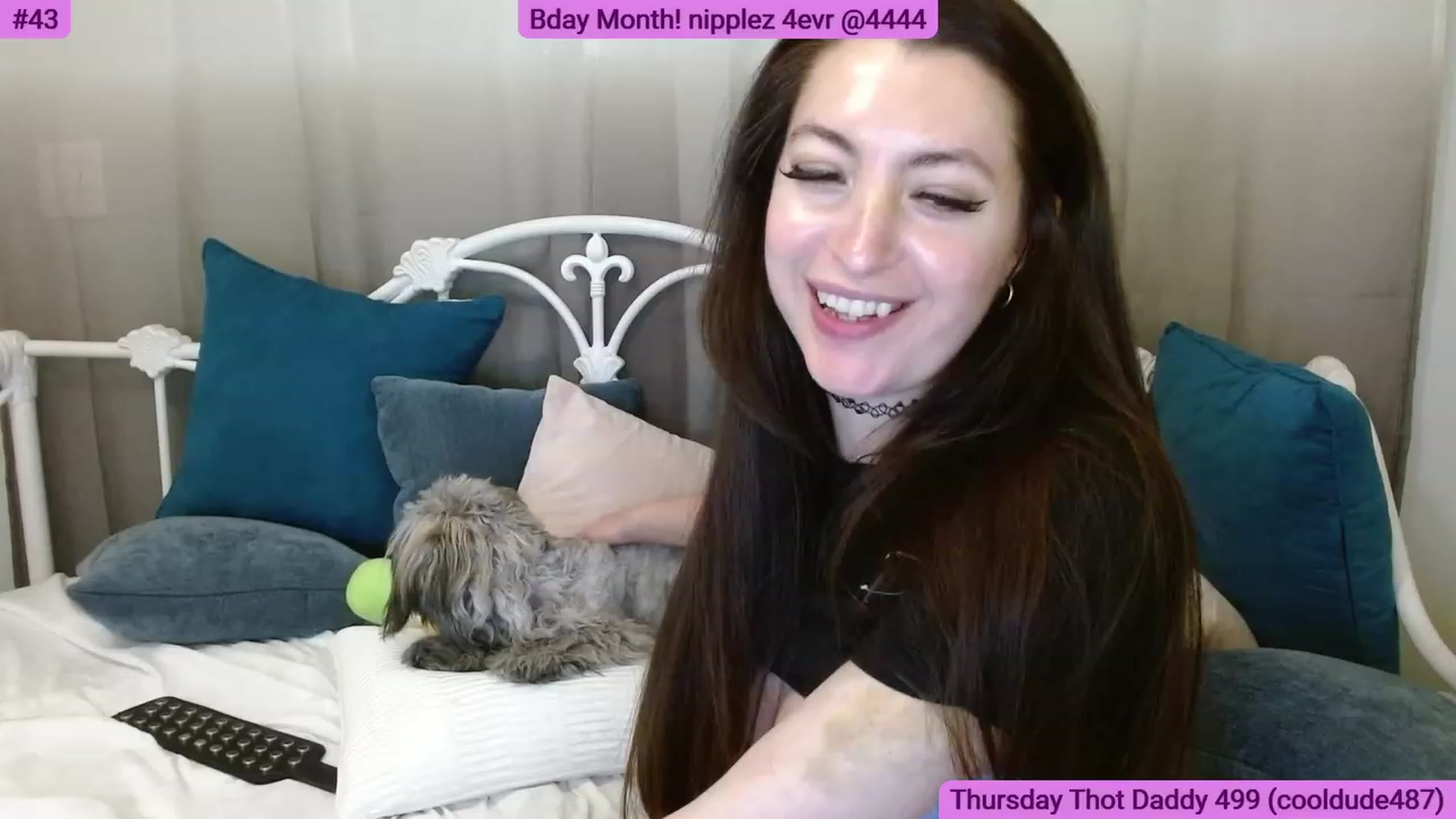 Gallery image thumbnail from DallasOhMy's myfreecams stream on, 05/26/2023, 01:54 image 10 of 20