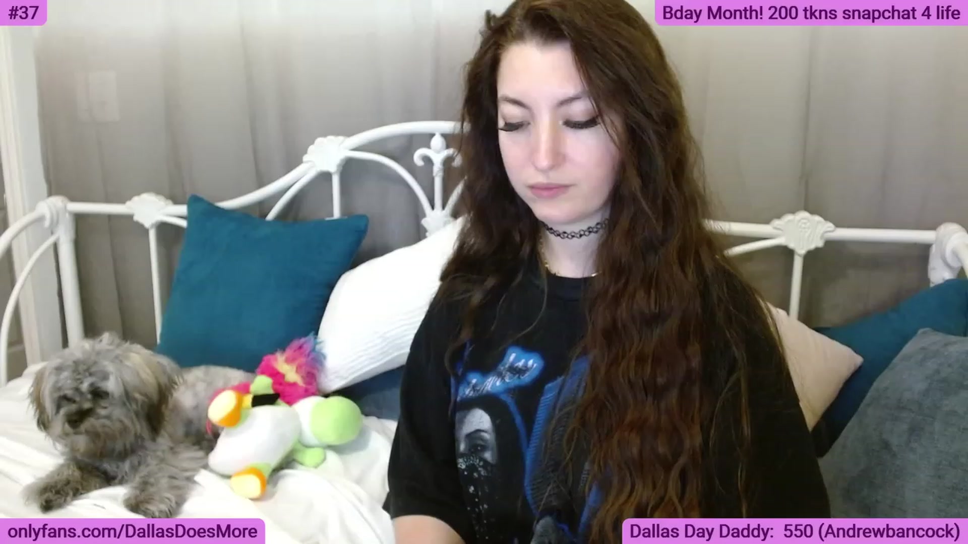 Gallery image thumbnail from DallasOhMy's myfreecams stream on, 05/29/2023, 04:54 image 19 of 20