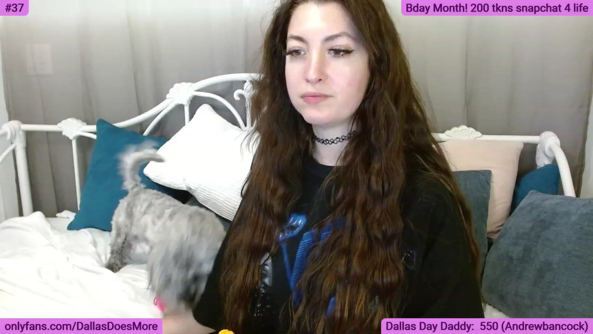 Gallery image thumbnail from DallasOhMy's myfreecams stream on, 05/29/2023, 04:54 image 16 of 20