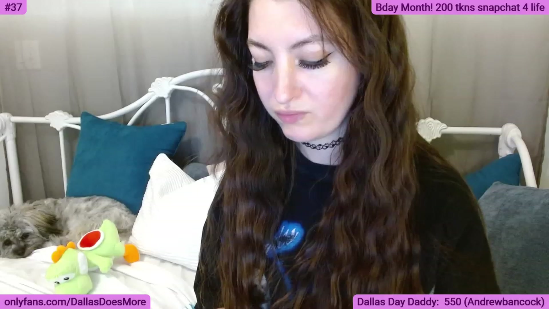 Gallery image thumbnail from DallasOhMy's myfreecams stream on, 05/29/2023, 04:54 image 18 of 20