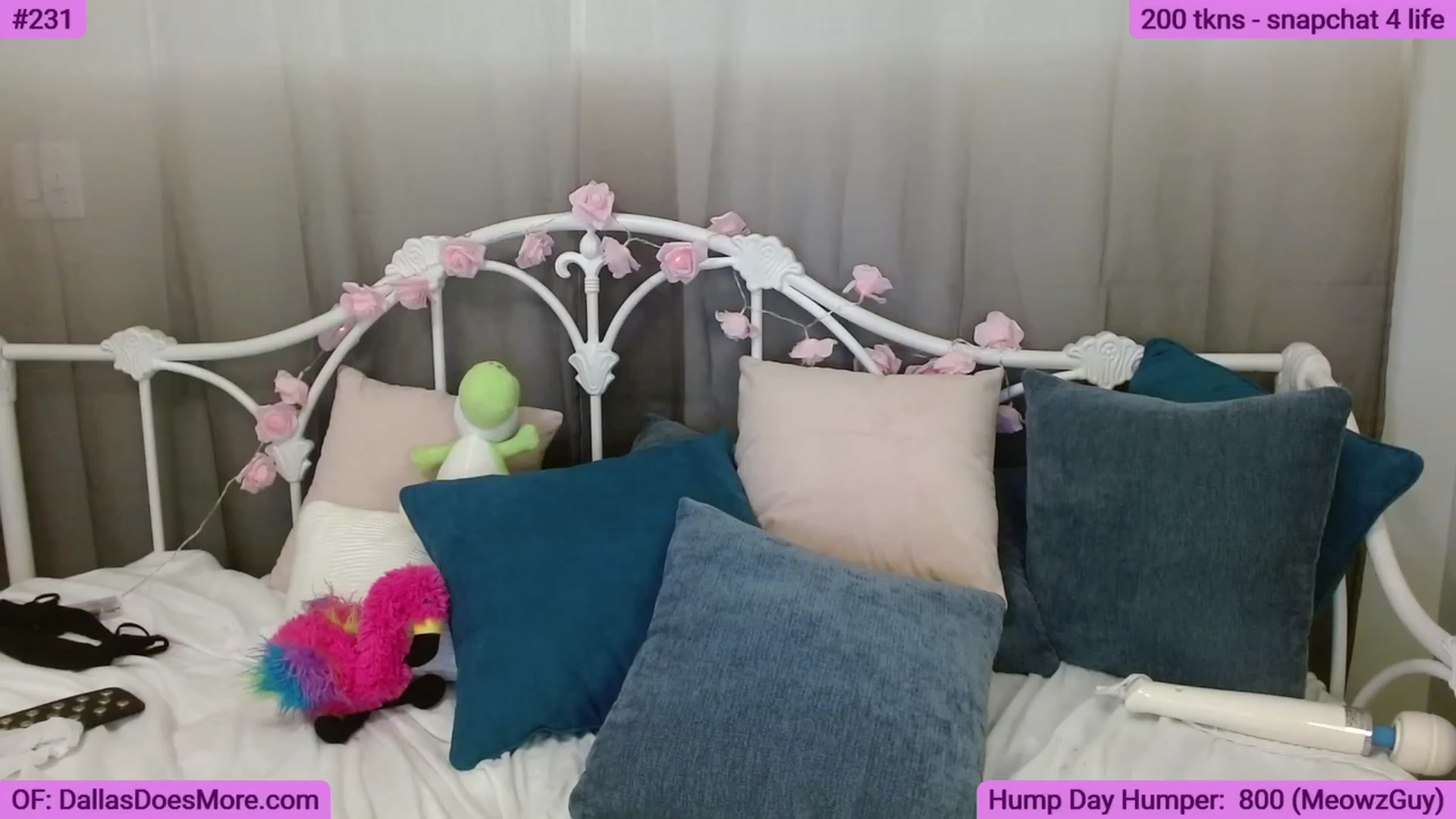 Gallery image thumbnail from DallasOhMy's myfreecams stream on, 06/29/2023, 01:53 image 10 of 20
