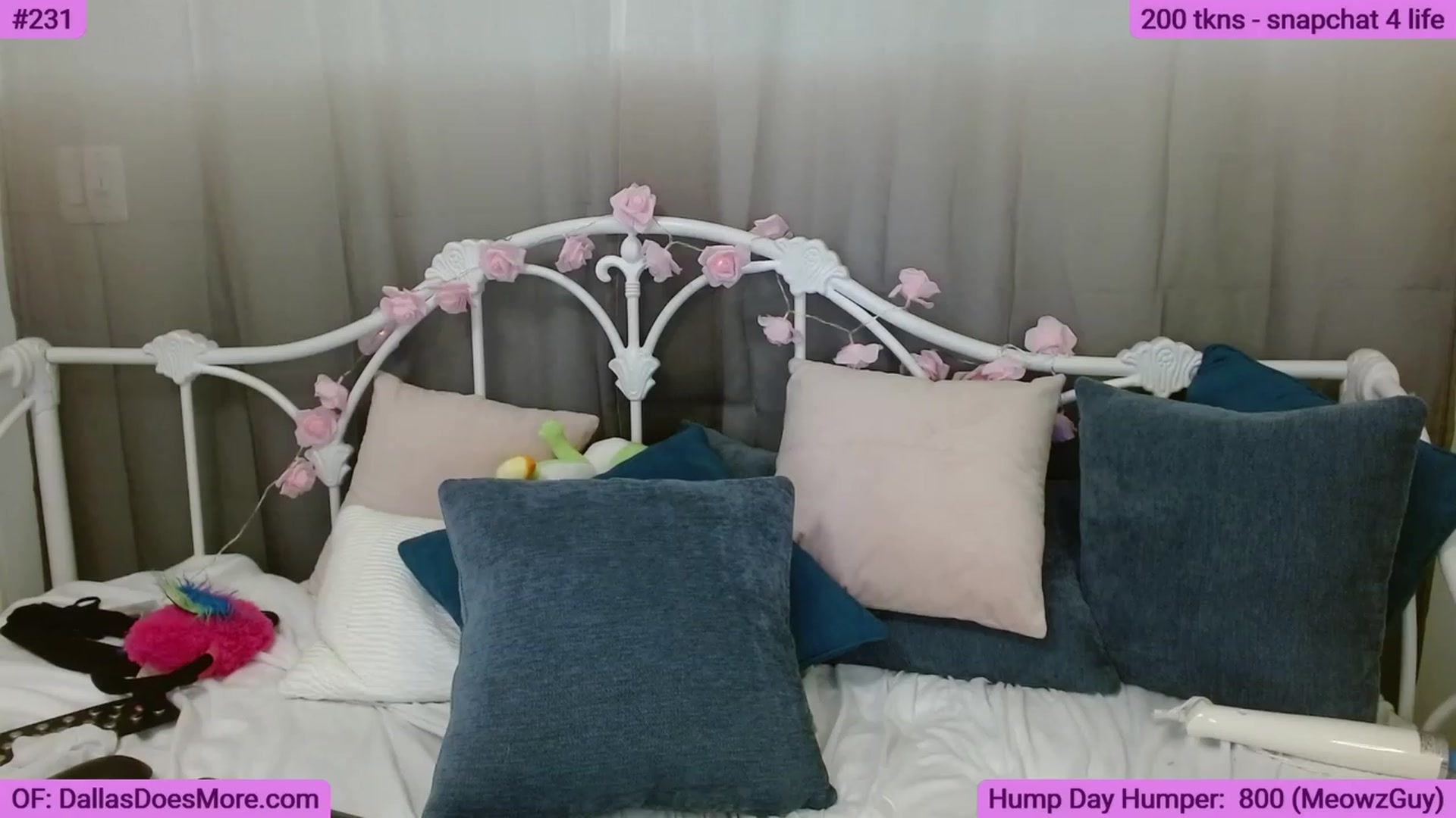Gallery image thumbnail from DallasOhMy's myfreecams stream on, 06/29/2023, 01:53 image 18 of 20