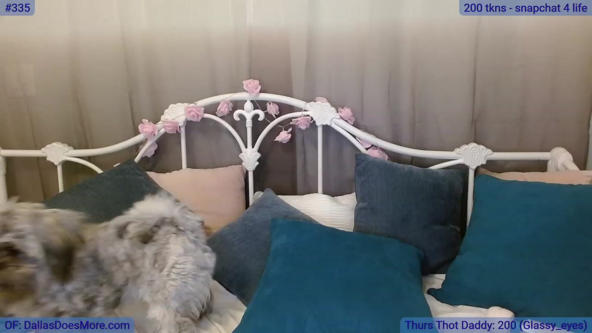 Gallery image thumbnail from DallasOhMy's myfreecams stream on, 07/14/2023, 24:23 image 3 of 20