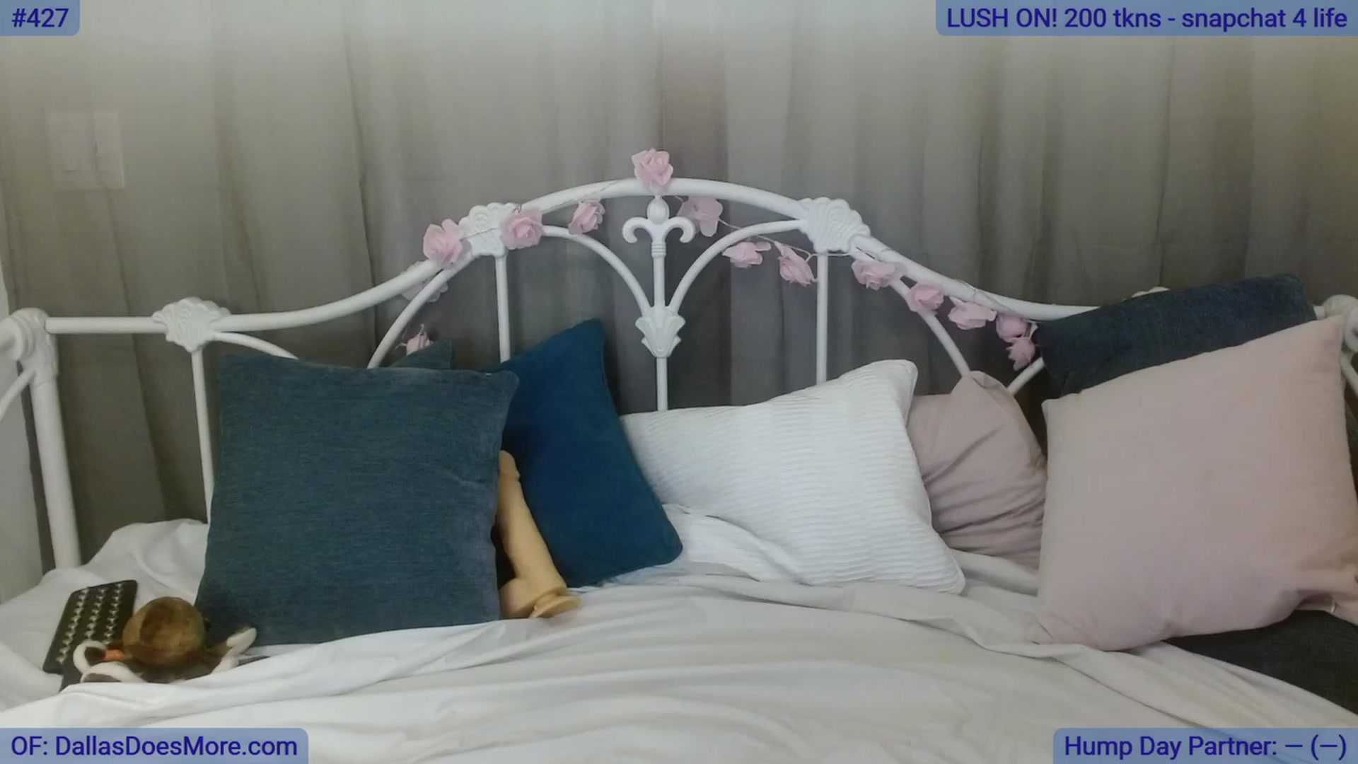 Gallery image thumbnail from DallasOhMy's myfreecams stream on, 08/17/2023, 24:52 image 3 of 20