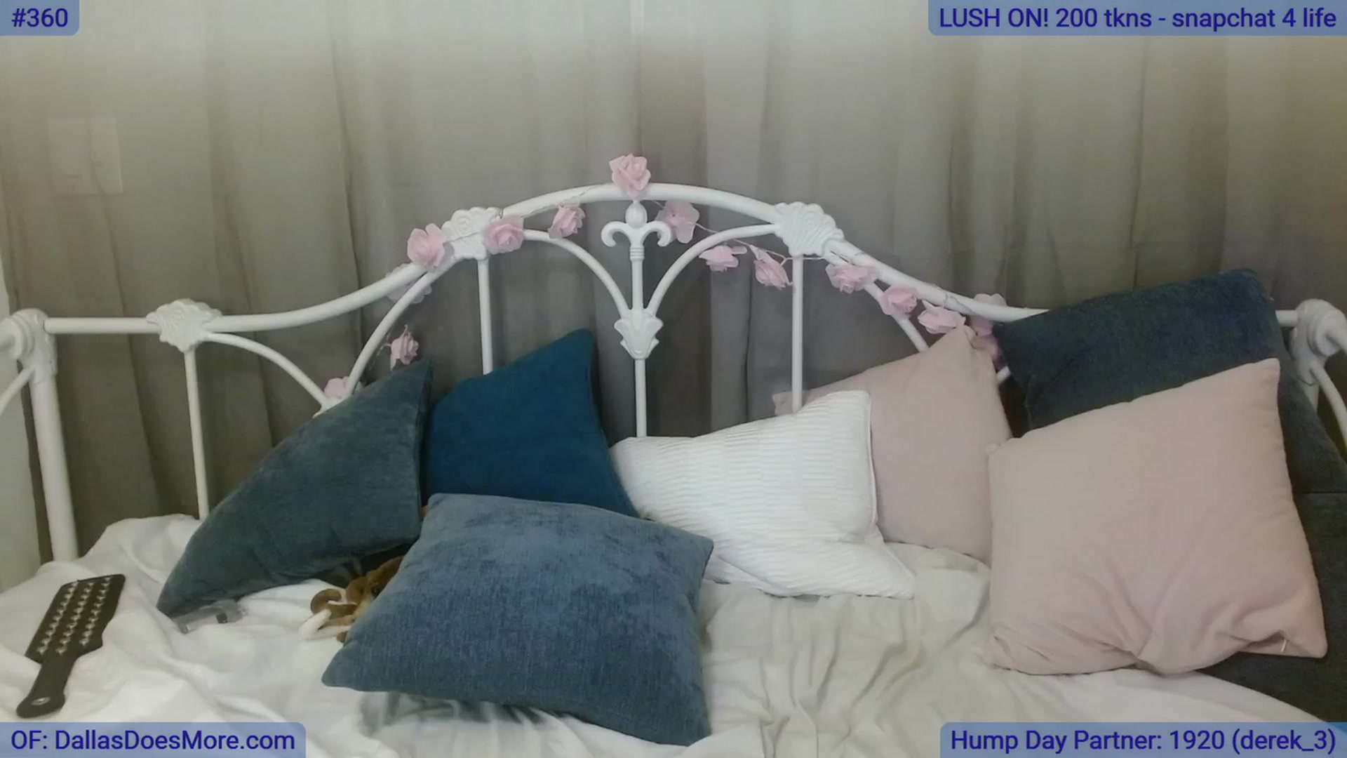 Gallery image thumbnail from DallasOhMy's myfreecams stream on, 08/17/2023, 03:24 image 4 of 20