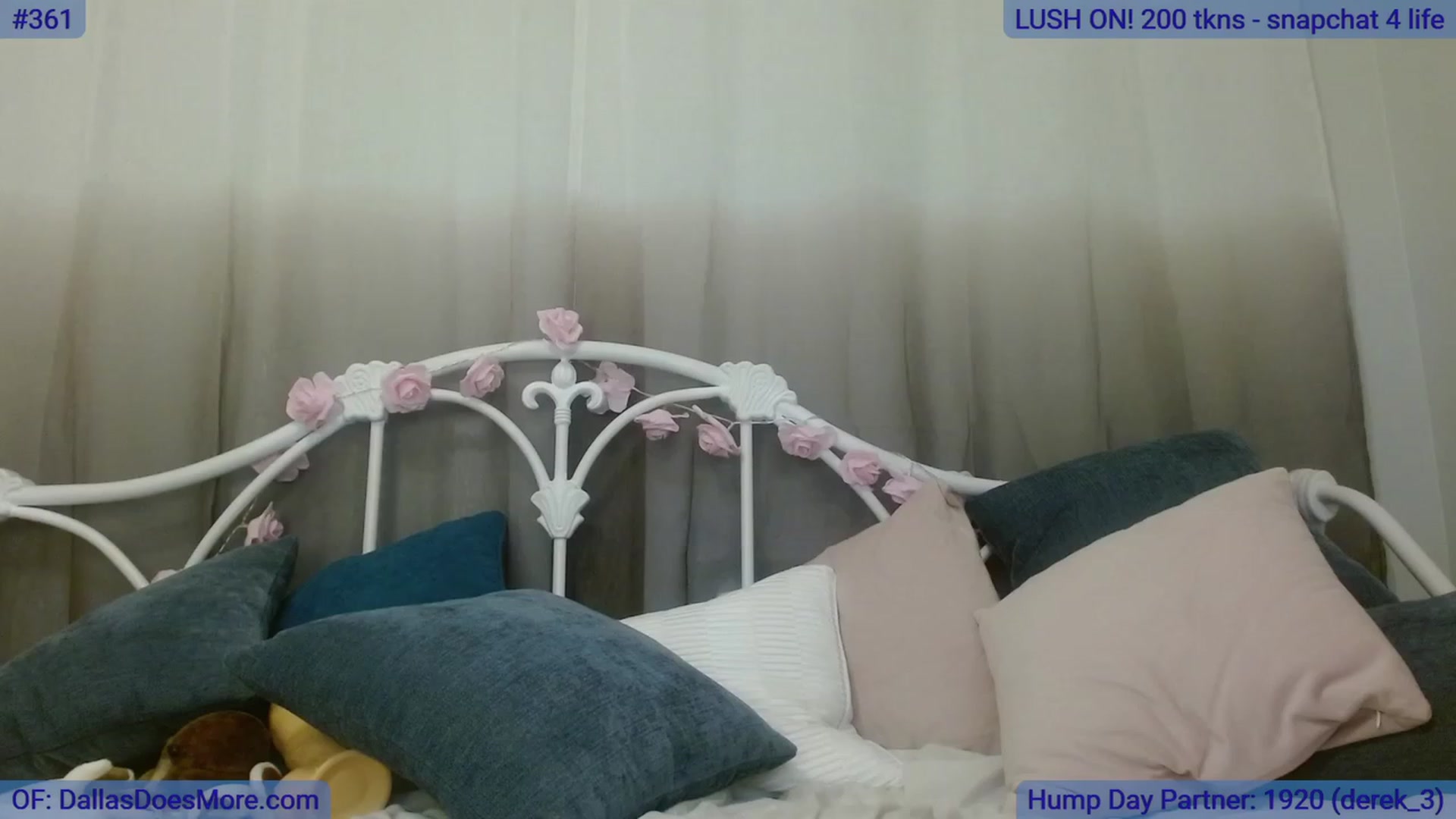 Gallery image thumbnail from DallasOhMy's myfreecams stream on, 08/17/2023, 03:24 image 9 of 20