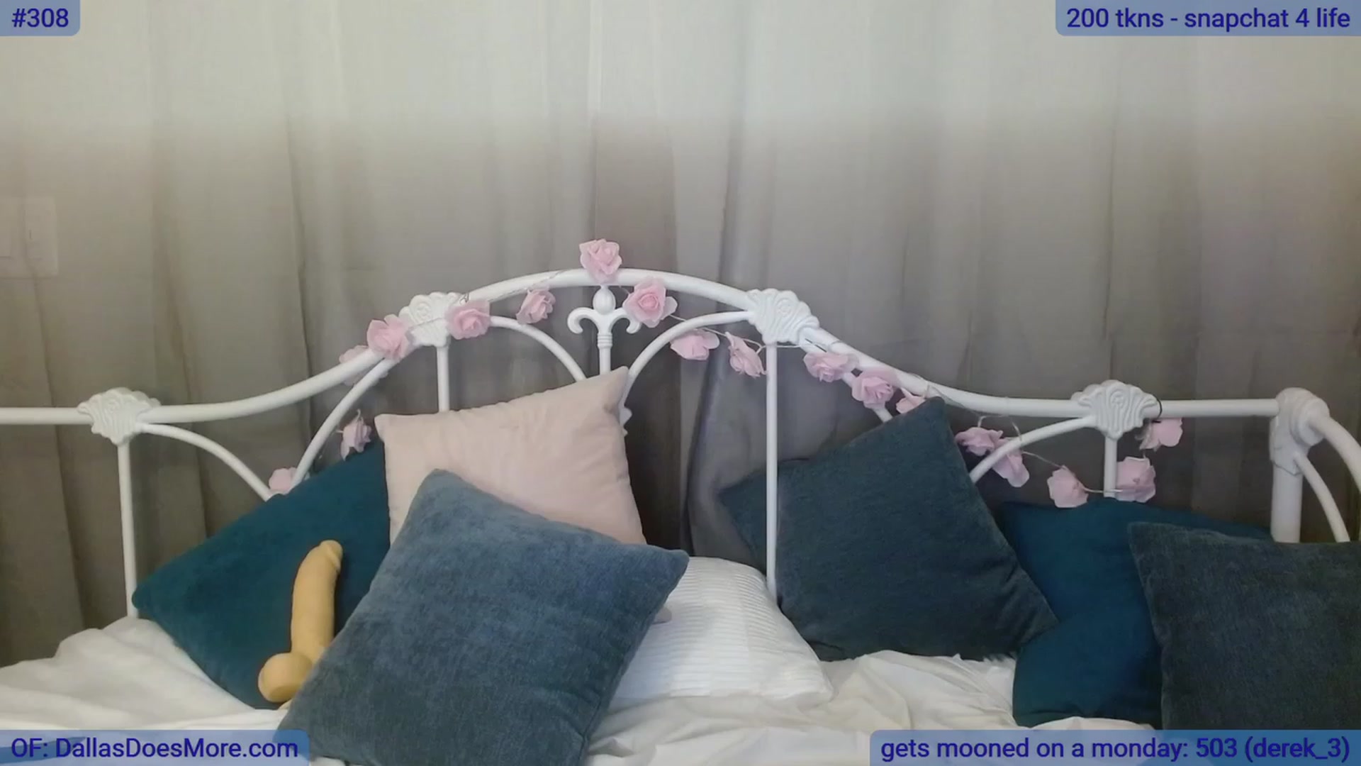 Gallery image thumbnail from DallasOhMy's myfreecams stream on, 08/22/2023, 02:57 image 7 of 20