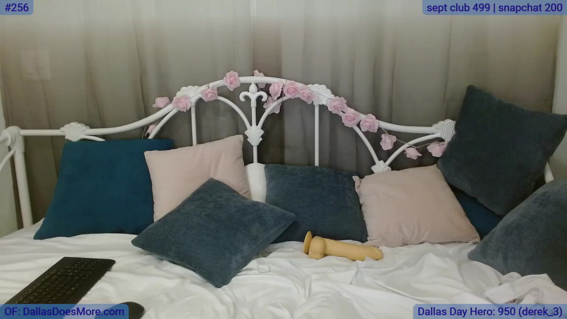 Gallery image thumbnail from DallasOhMy's myfreecams stream on, 09/18/2023, 24:03 image 7 of 20