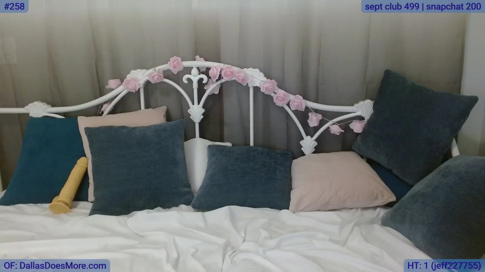 Gallery image thumbnail from DallasOhMy's myfreecams stream on, 09/19/2023, 22:35 image 19 of 20