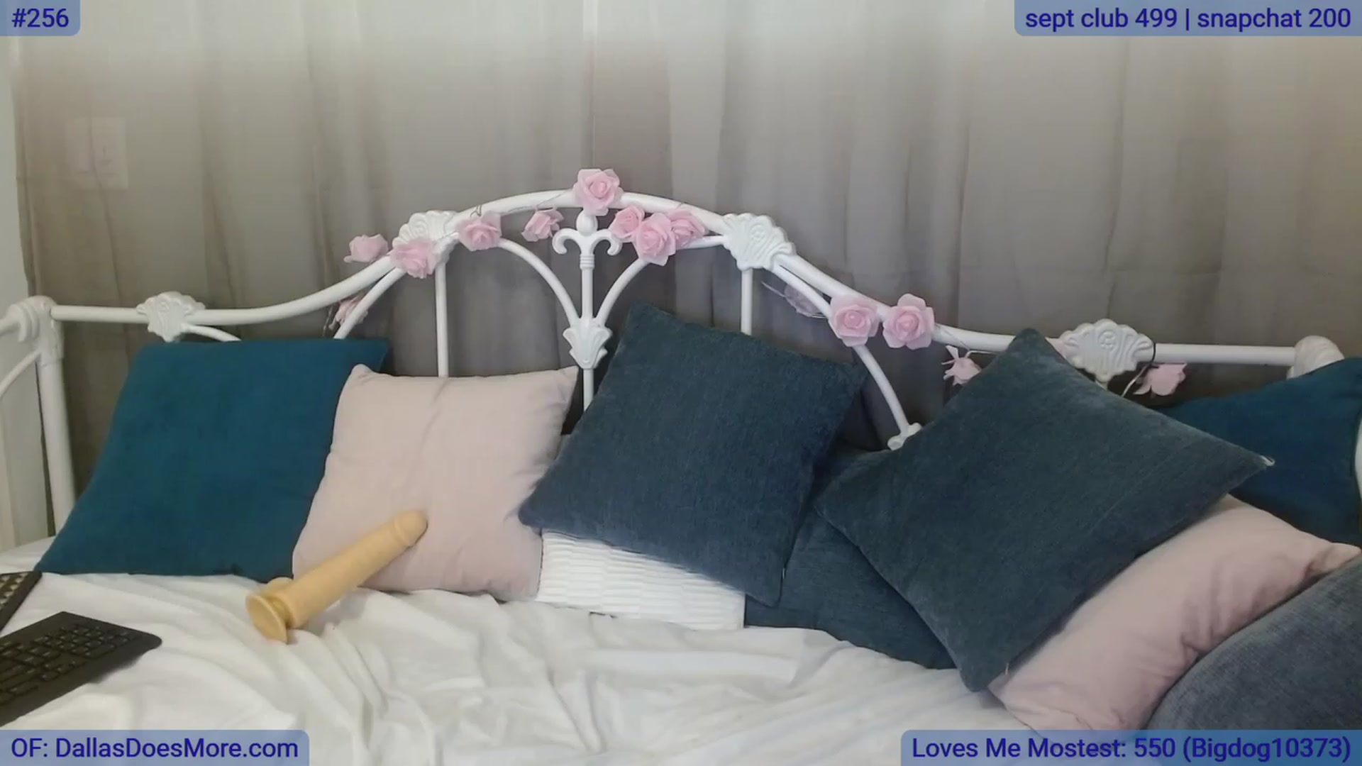Gallery image thumbnail from DallasOhMy's myfreecams stream on, 09/26/2023, 04:03 image 7 of 20
