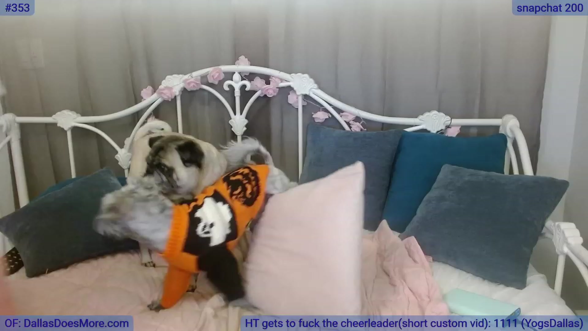 Gallery image thumbnail from DallasOhMy's myfreecams stream on, 10/30/2023, 01:49 image 19 of 20