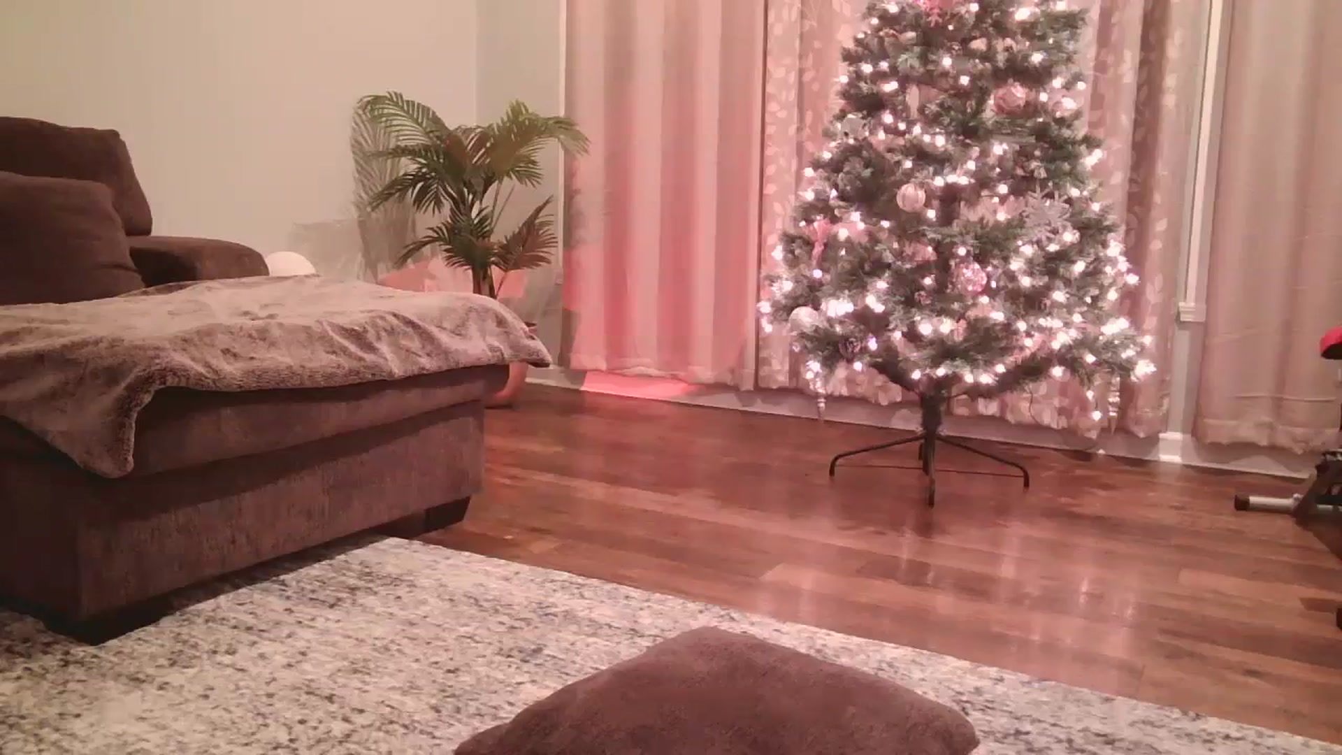 Gallery image thumbnail from DallasOhMy's myfreecams stream on, 12/11/2023, 04:01 image 4 of 20