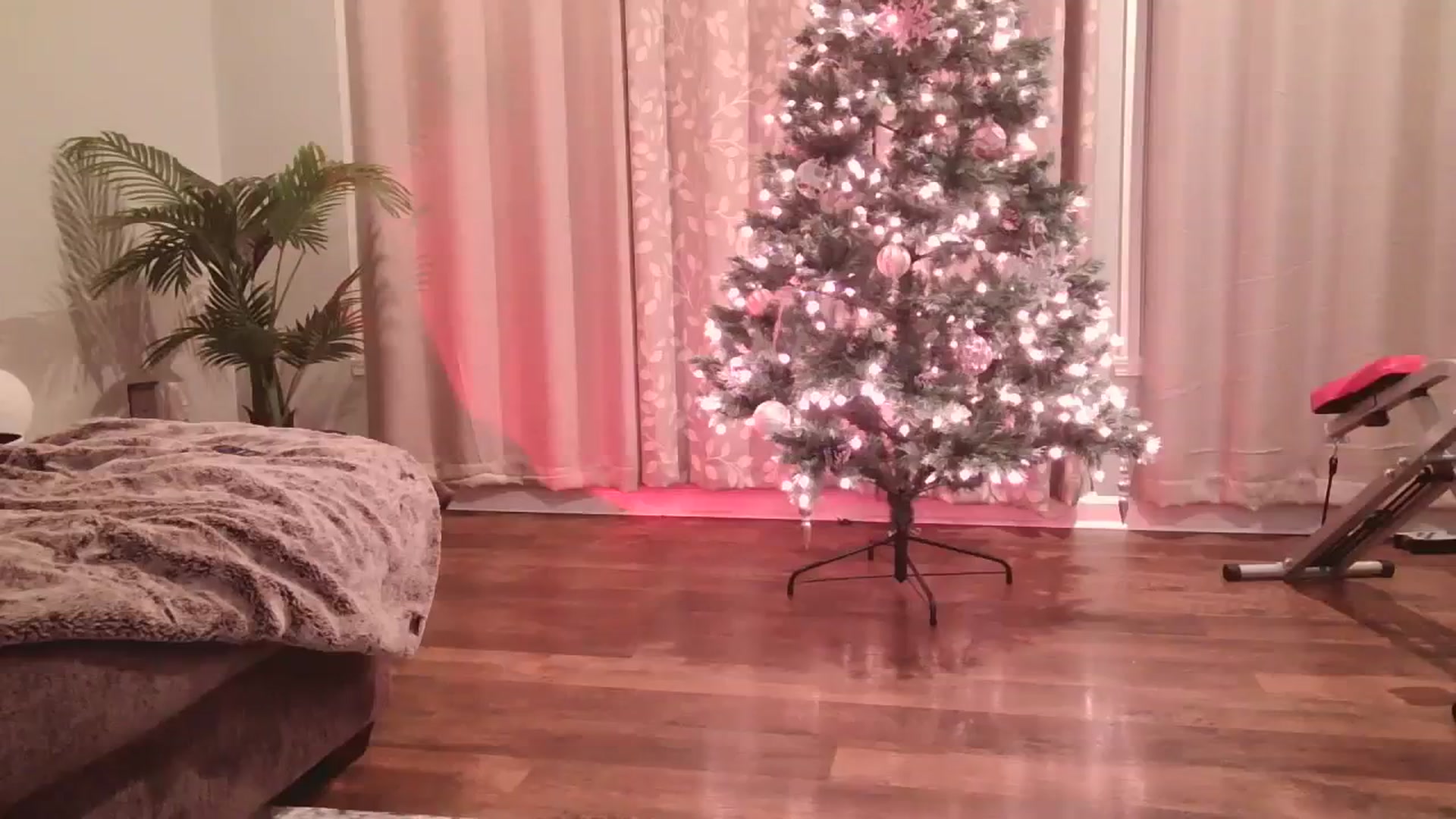 Gallery image thumbnail from DallasOhMy's myfreecams stream on, 12/15/2023, 06:10 image 16 of 20