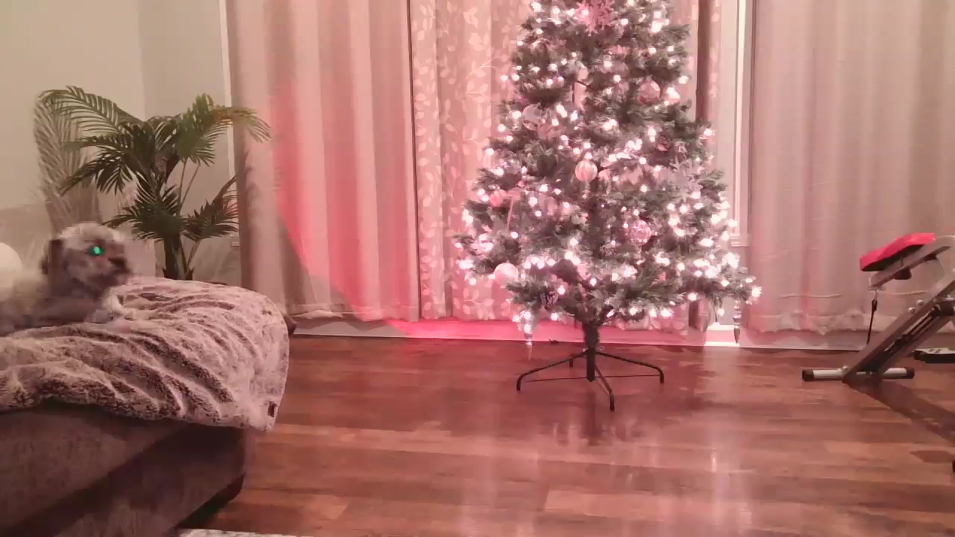 Gallery image thumbnail from DallasOhMy's myfreecams stream on, 12/15/2023, 06:10 image 17 of 20
