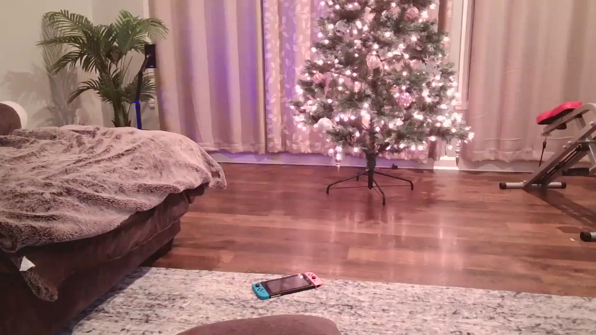 Gallery image thumbnail from DallasOhMy's myfreecams stream on, 12/28/2023, 05:13 image 4 of 20