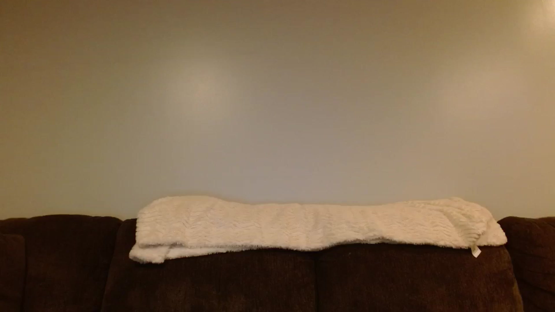 Gallery image thumbnail from DallasOhMy's myfreecams stream on, 06/11/2024, 03:01 image 1 of 20