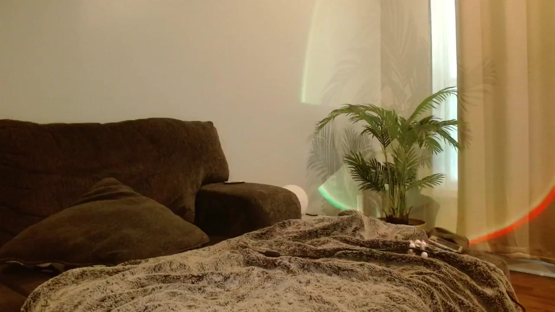 Gallery image thumbnail from DallasOhMy's myfreecams stream on, 07/26/2024, 21:20 image 12 of 20