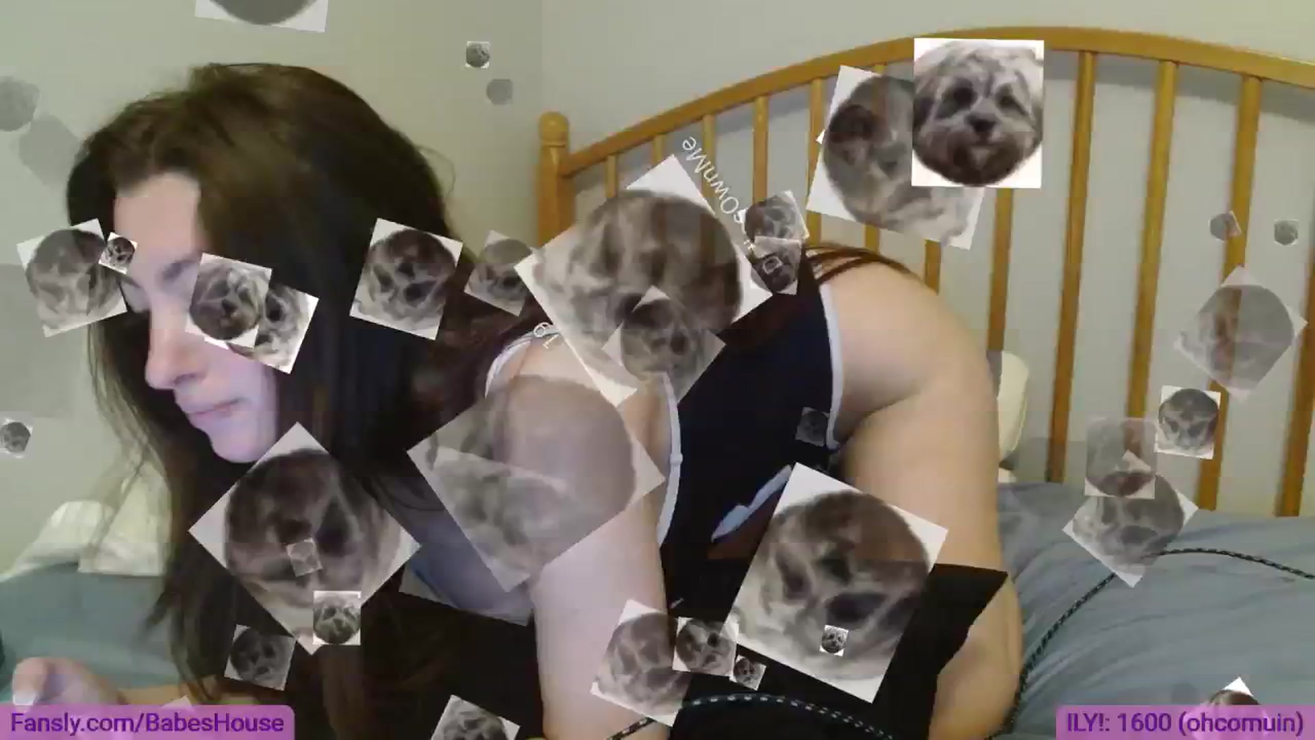 Gallery image thumbnail from DallasOhMy's myfreecams stream on, 09/23/2024, 24:33 image 5 of 20