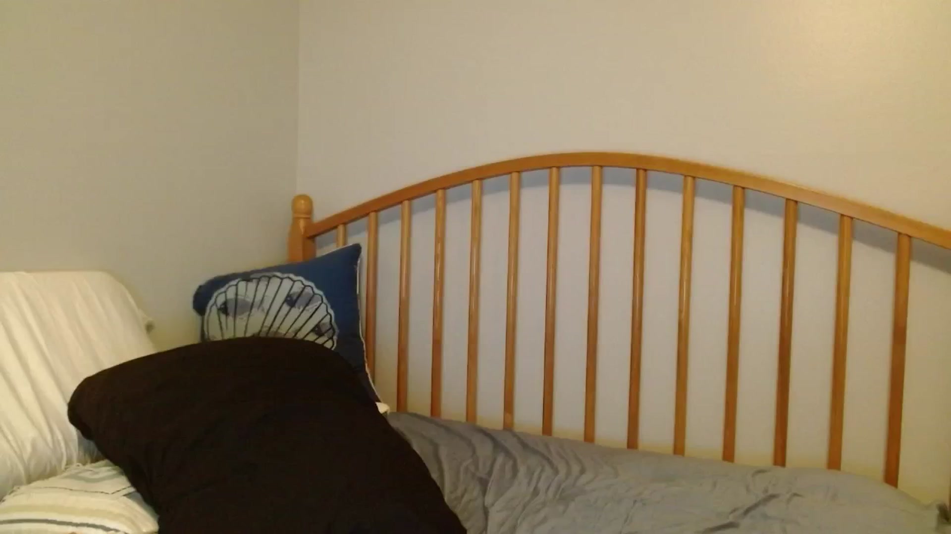 Gallery image thumbnail from DallasOhMy's myfreecams stream on, 10/10/2024, 24:02 image 18 of 20