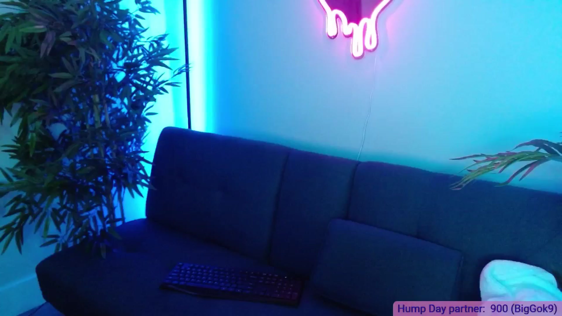 Gallery image thumbnail from DallasOhMy's myfreecams stream on, 12/05/2024, 05:56 image 9 of 20