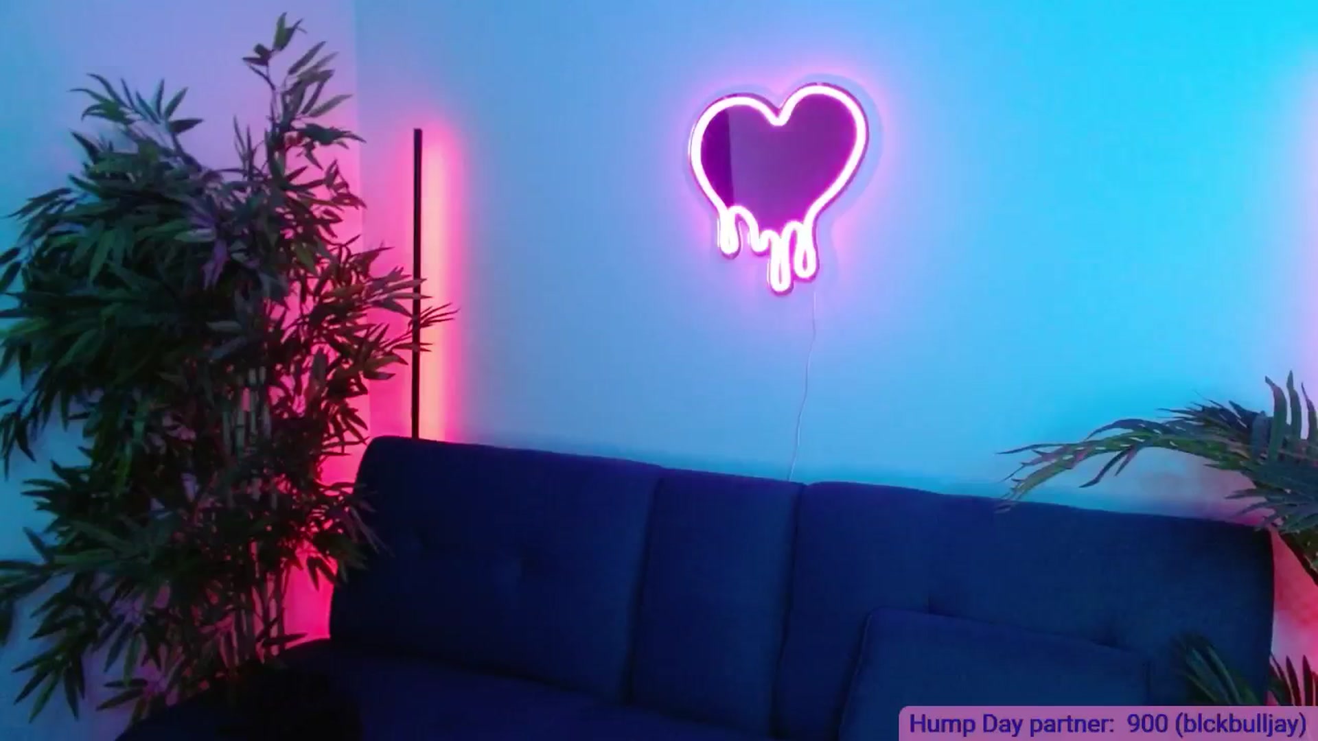 Gallery image thumbnail from DallasOhMy's myfreecams stream on, 12/06/2024, 07:11 image 2 of 20