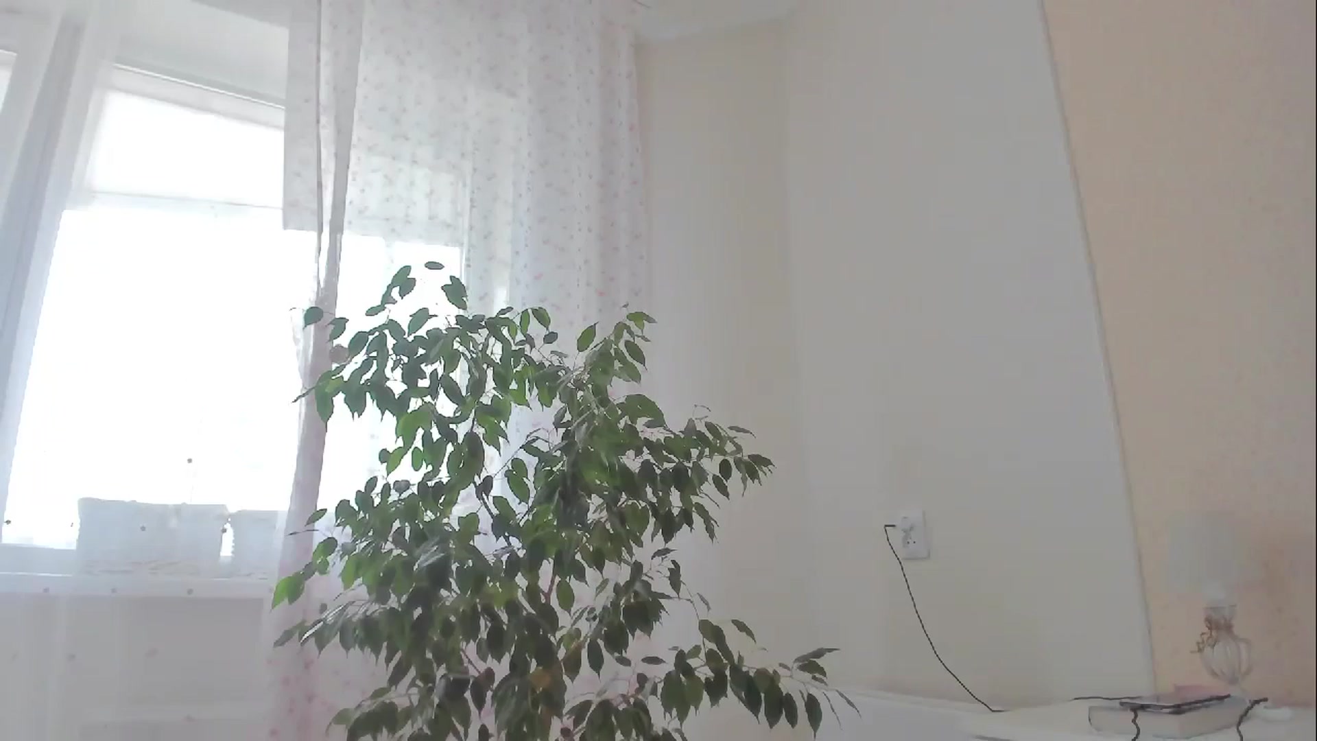 Gallery image thumbnail from DamnGooood's myfreecams stream on, 10/12/2023, 07:28 image 4 of 20