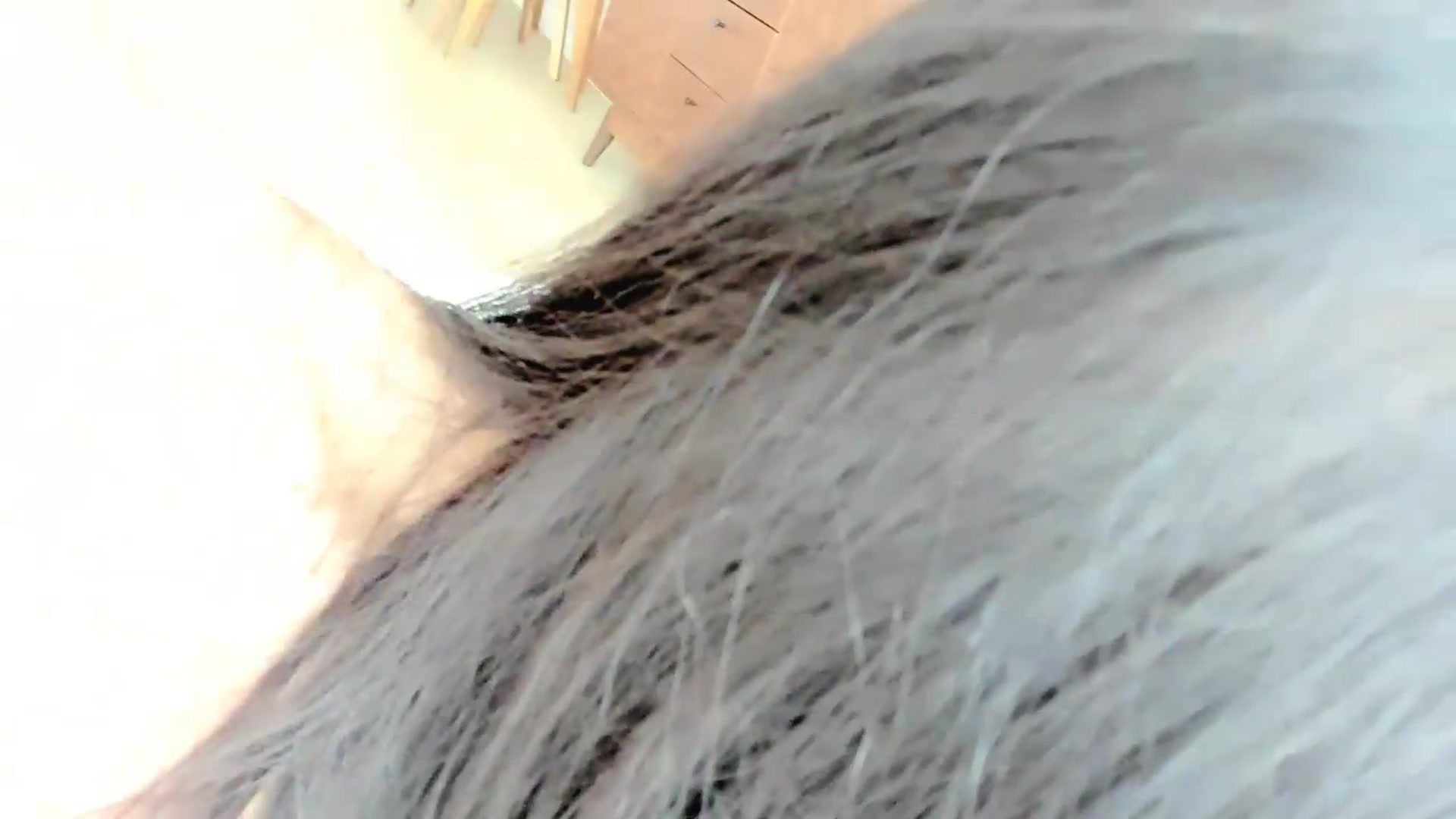 Gallery image thumbnail from DamnGooood's myfreecams stream on, 06/16/2026, 09:57 image 18 of 20