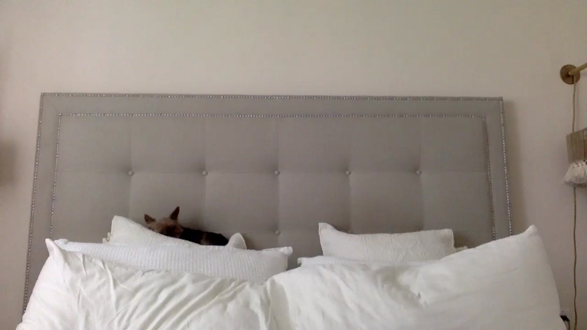 Gallery image thumbnail from DaniSendLuv's myfreecams stream on, 09/12/2024, 19:40 image 19 of 20