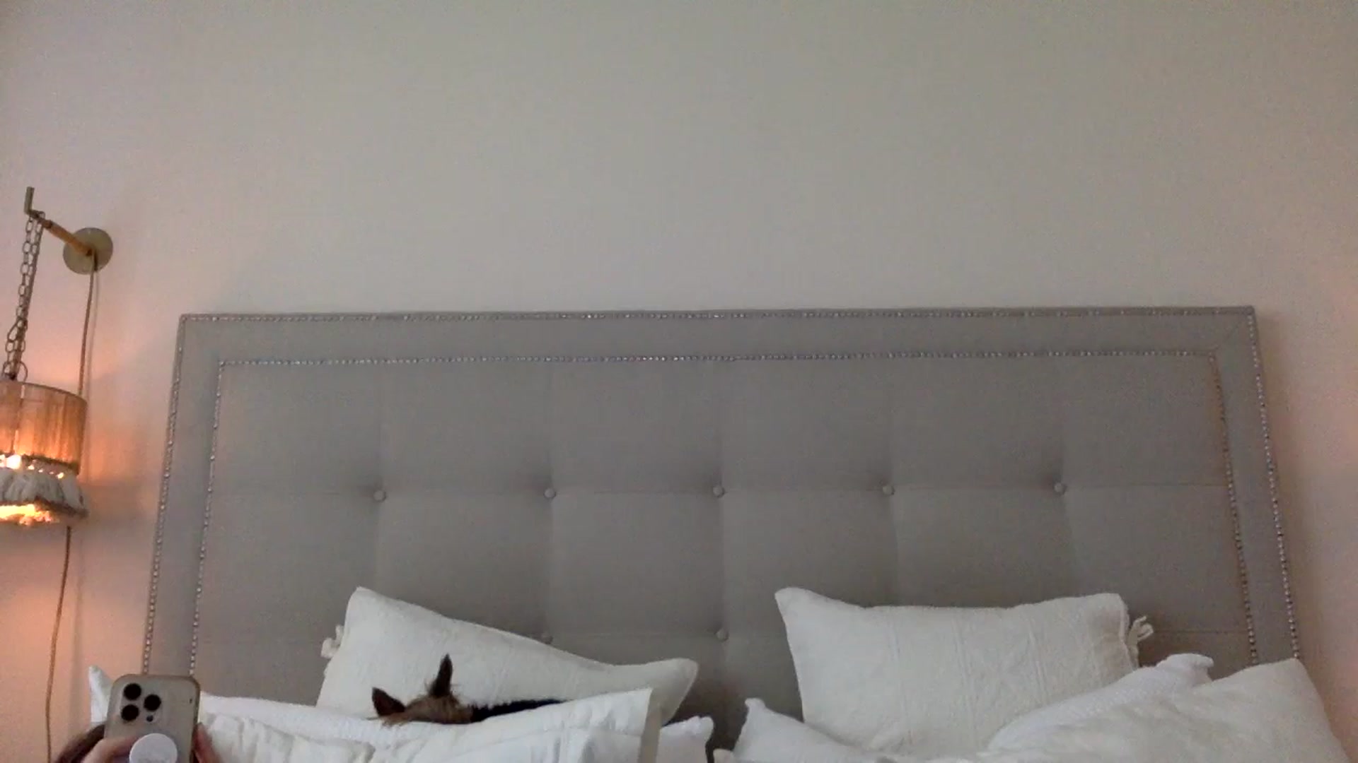 Gallery image thumbnail from DaniSendLuv's myfreecams stream on, 09/24/2024, 19:05 image 17 of 20