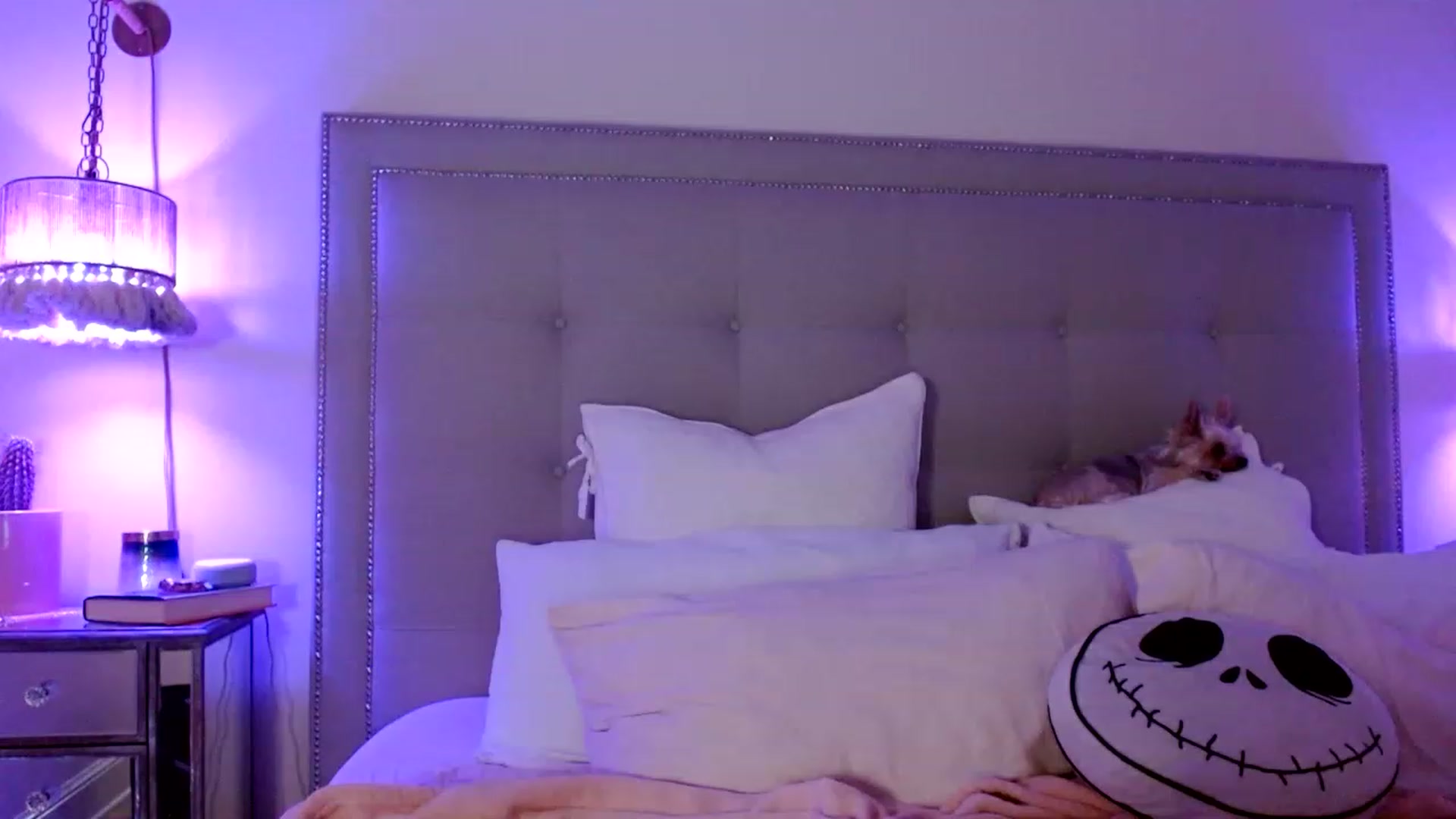 Gallery image thumbnail from DaniSendNudes's myfreecams stream on, 11/19/2022, 06:23 image 2 of 20