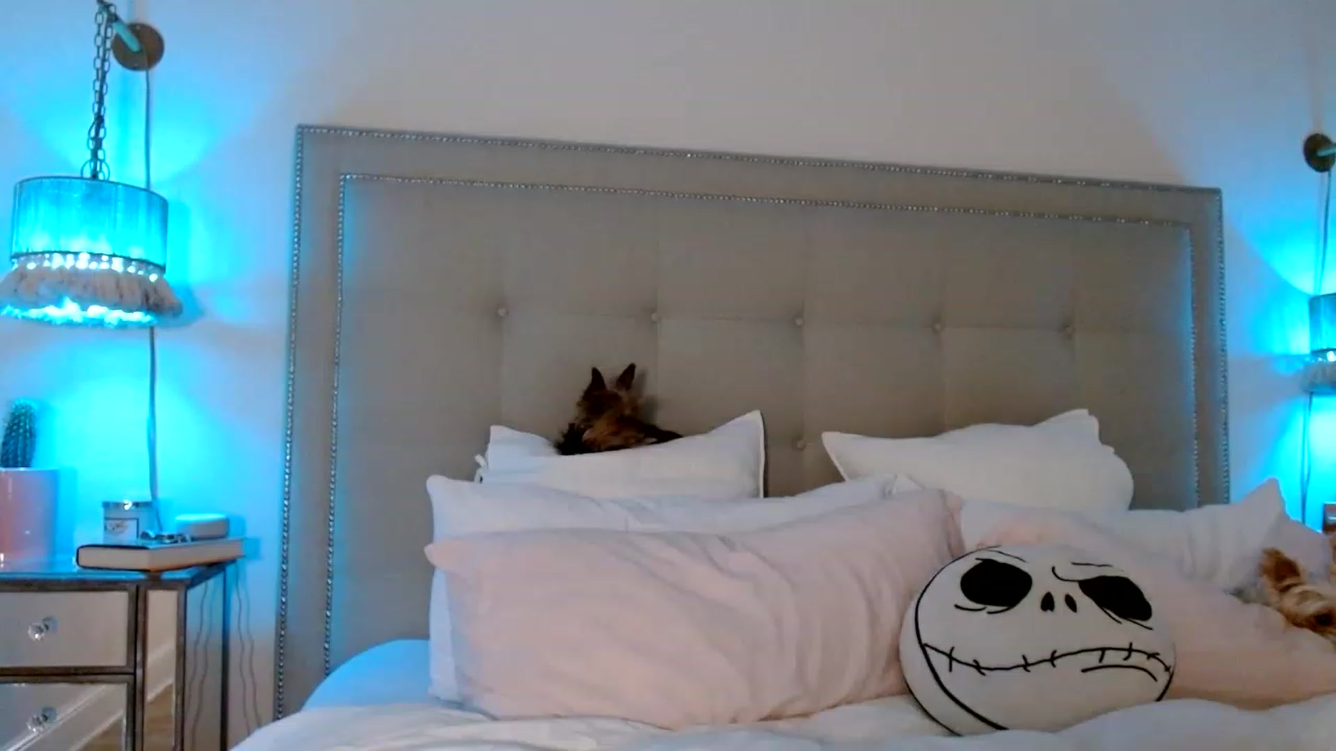 Gallery image thumbnail from DaniSendNudes's myfreecams stream on, 12/06/2022, 05:59 image 14 of 20