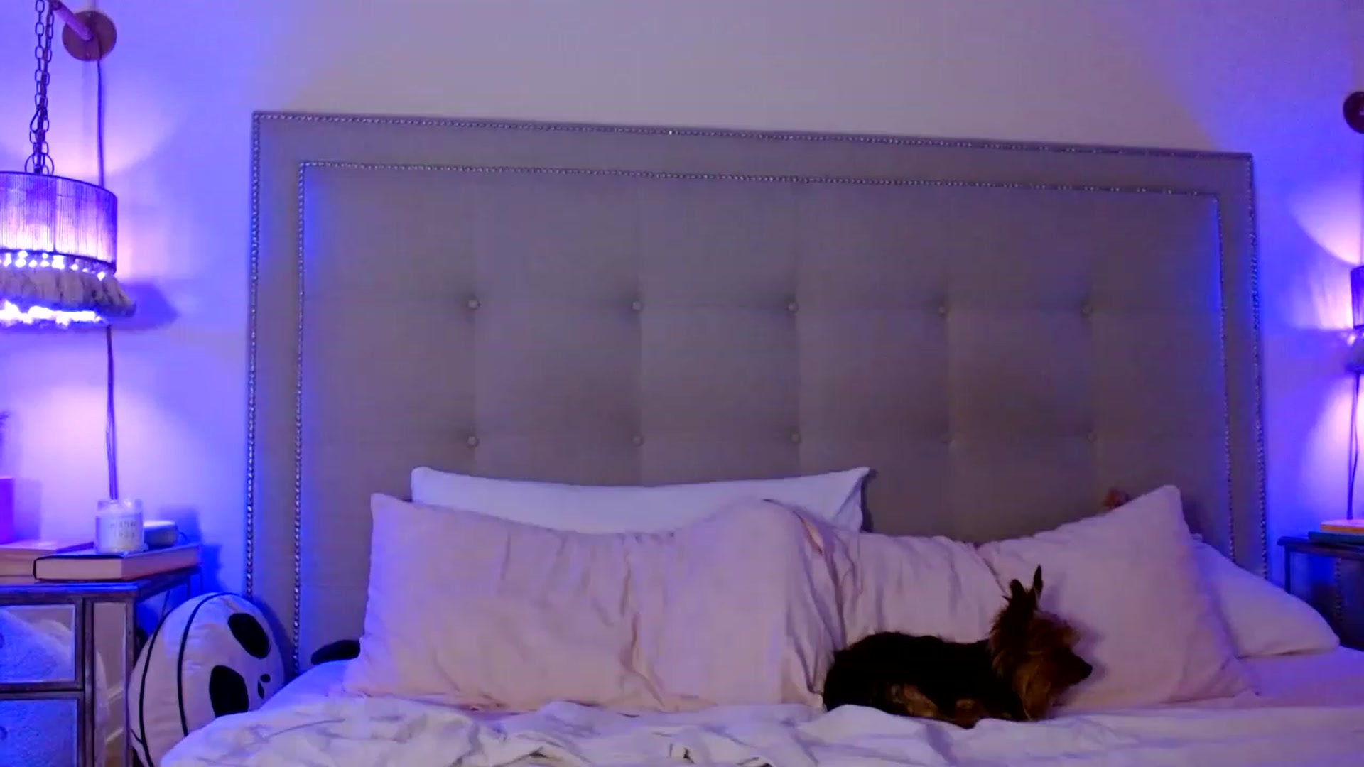 Gallery image thumbnail from DaniSendNudes's myfreecams stream on, 12/24/2022, 03:51 image 1 of 20