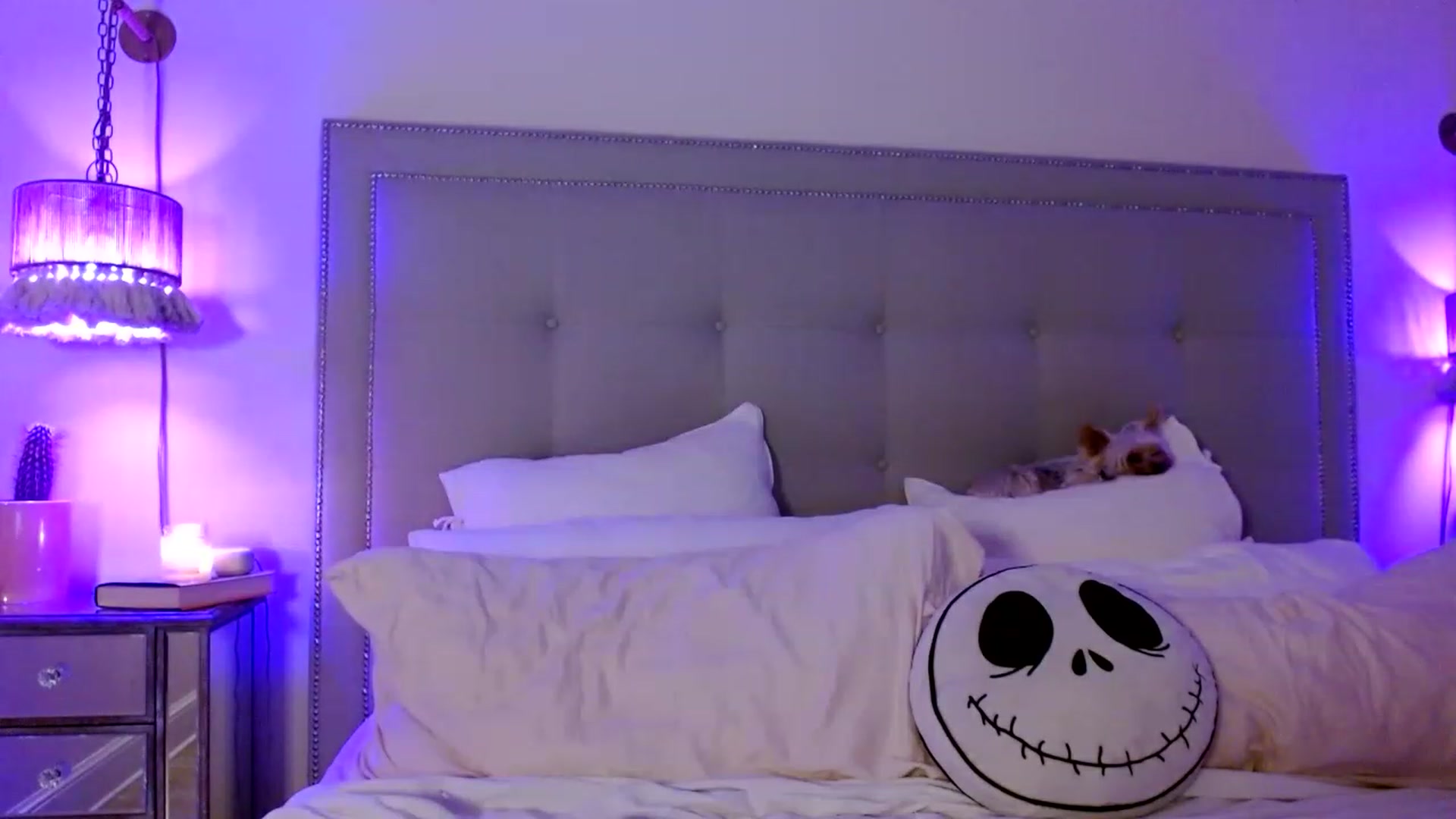 Gallery image thumbnail from DaniSendNudes's myfreecams stream on, 01/04/2023, 05:21 image 14 of 20